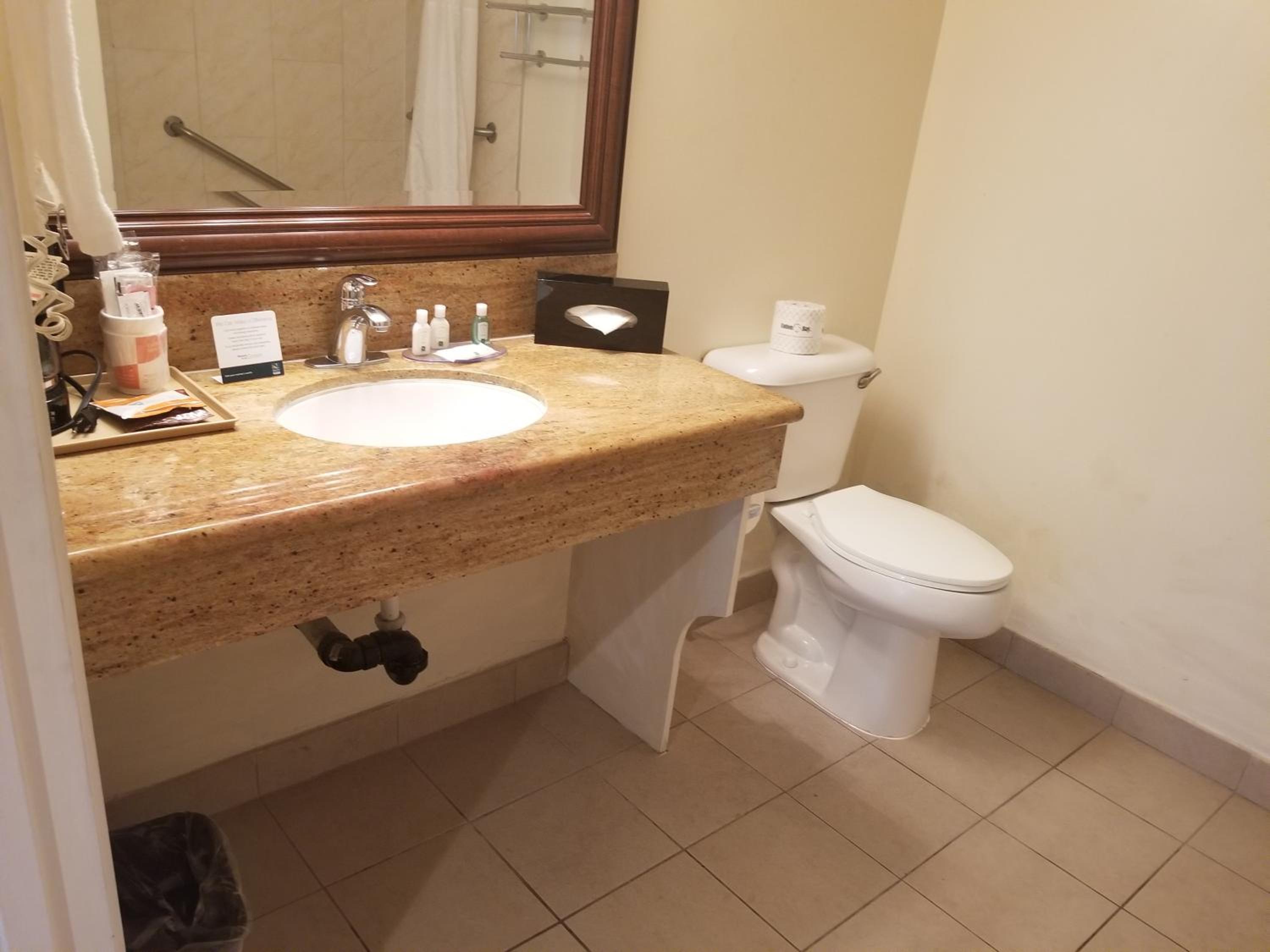 Standard Room, 1 King Bed, Accessible Tub, Non Smoking - Photo 3