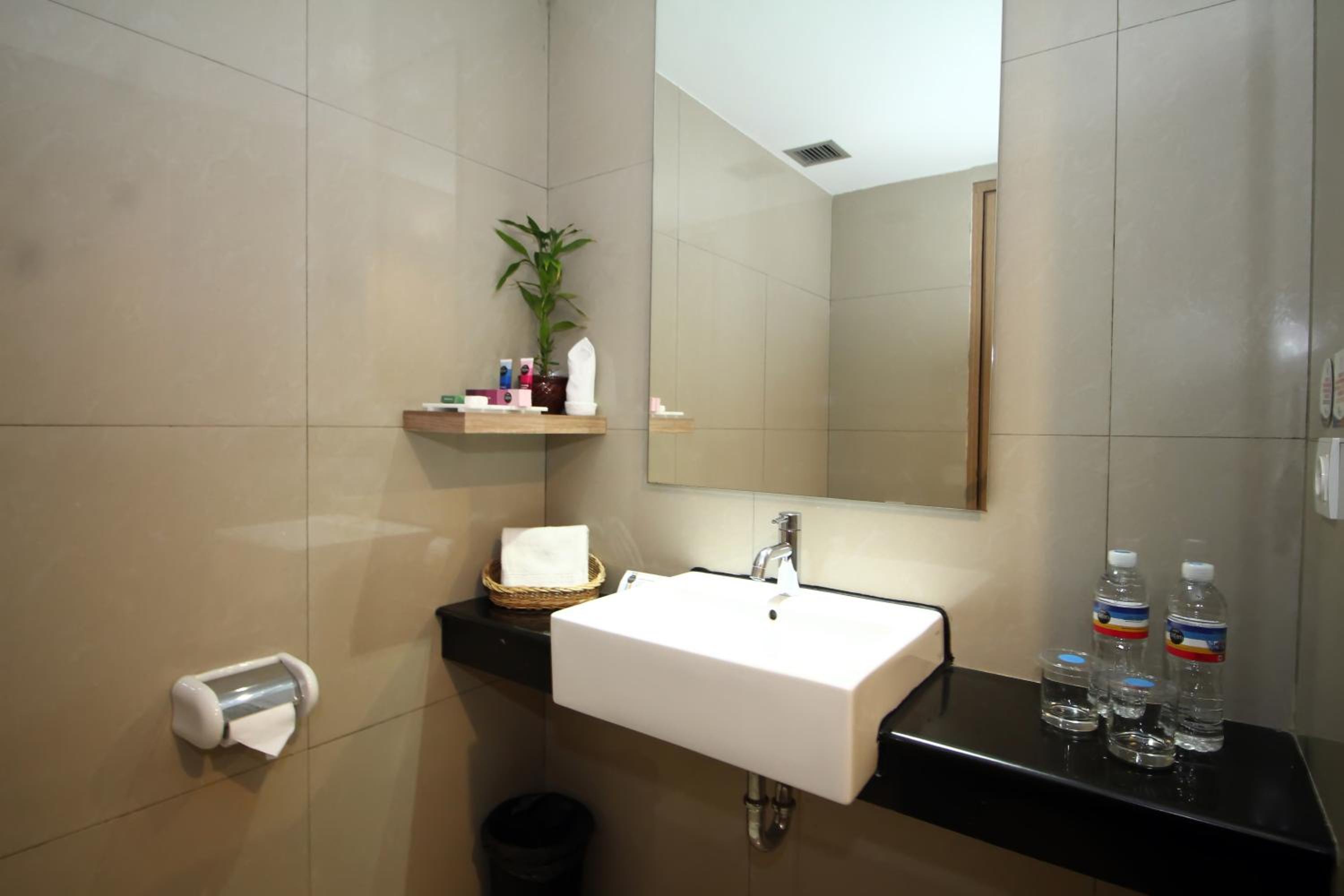 Deluxe Double or Twin Room photo 2
