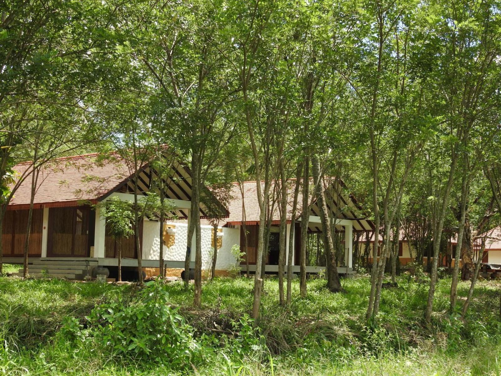 Wel Vidana – Forest View