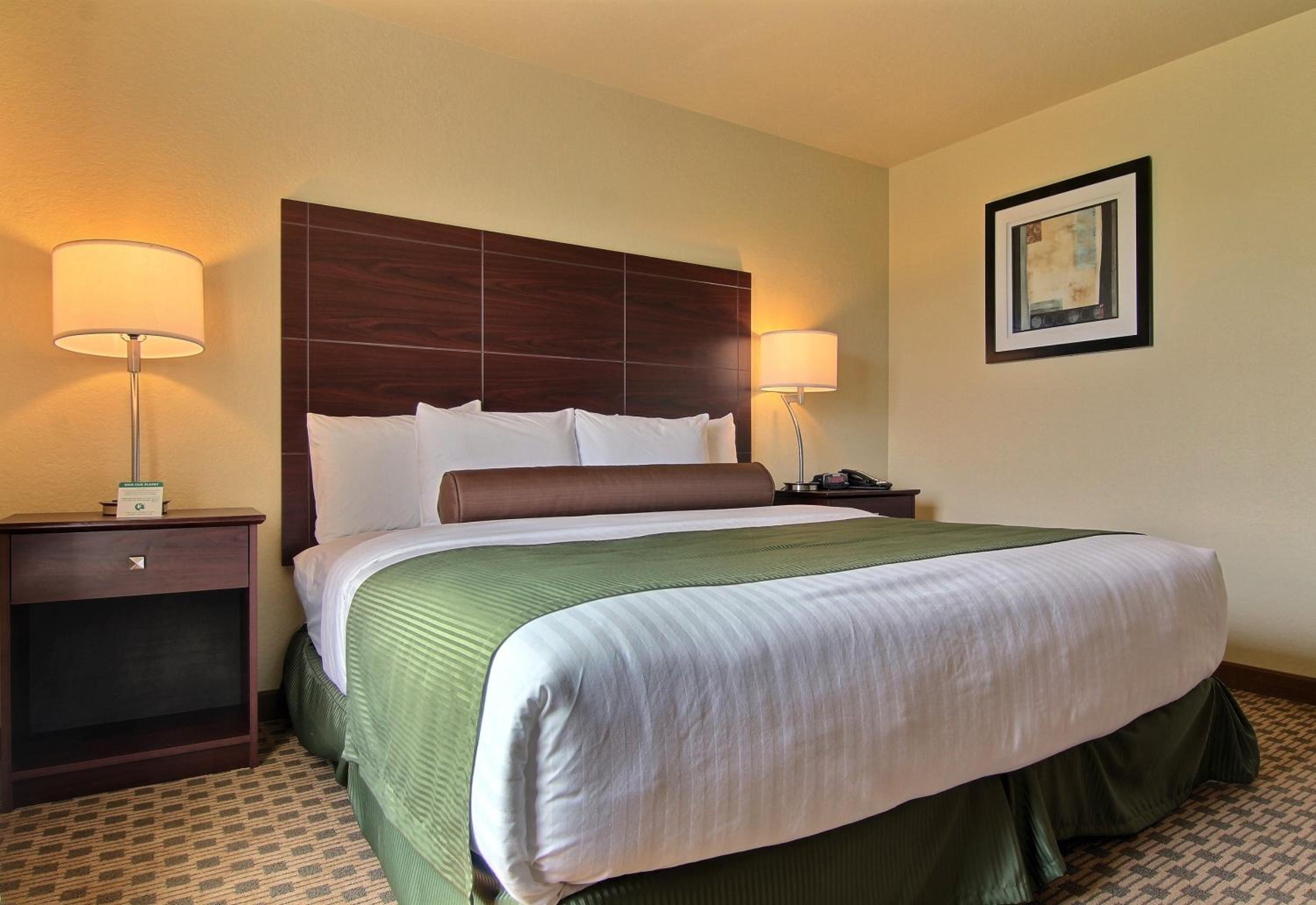 King Room - Disability Access photo 1