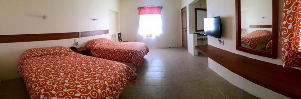 Twin Room - Photo 3