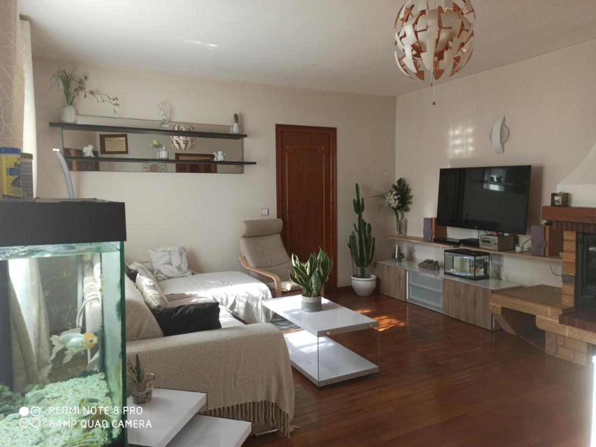 Twin Room with Terrace photo 2