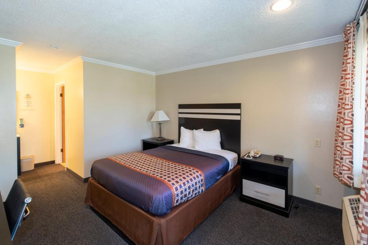 Mini Suite photo 2