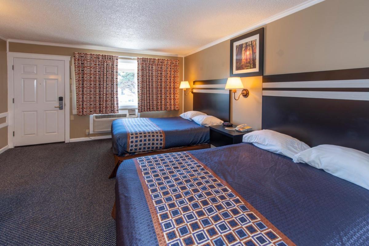 Mini Suite photo 1