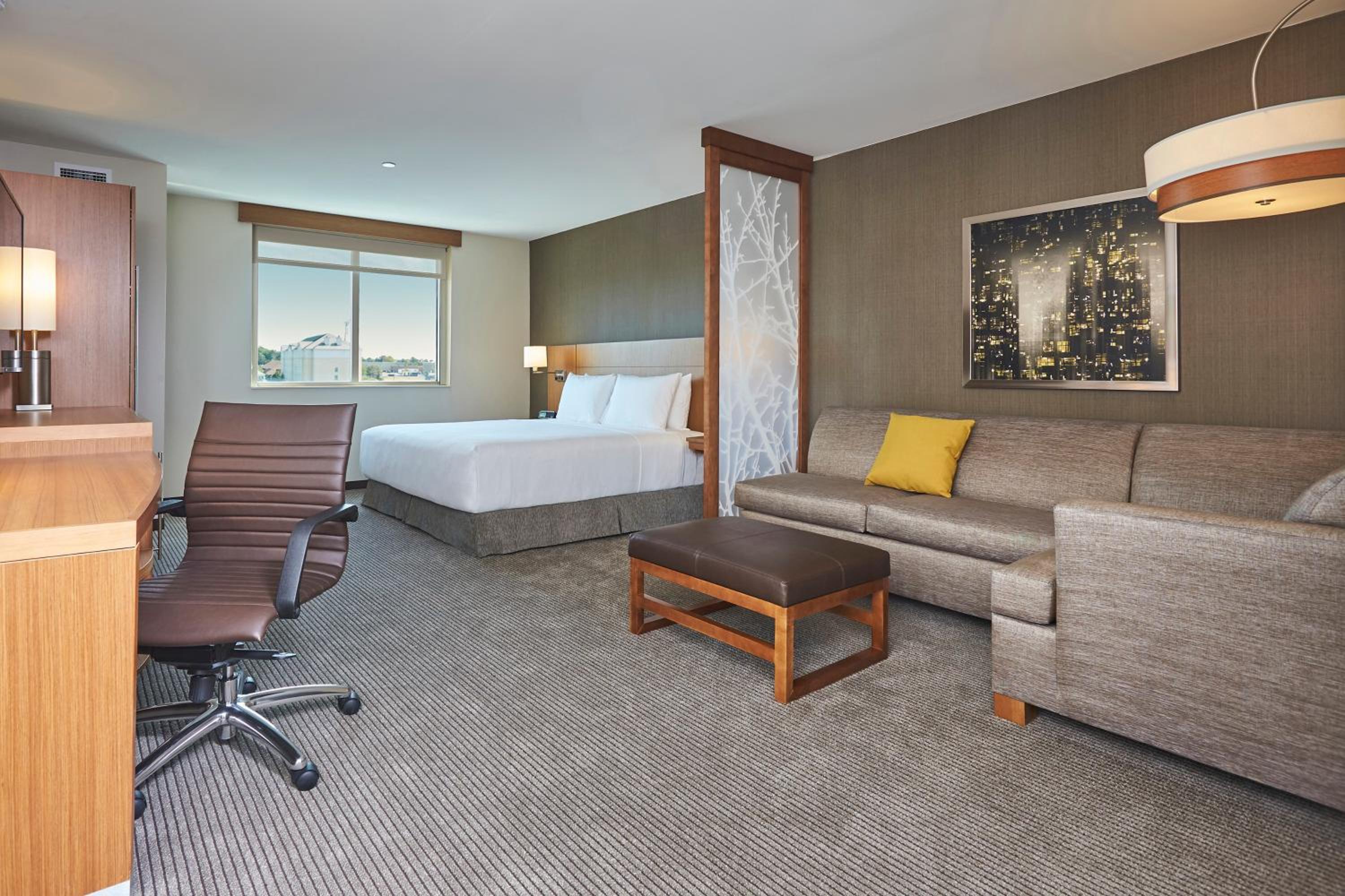 King Room with Sofa Bed