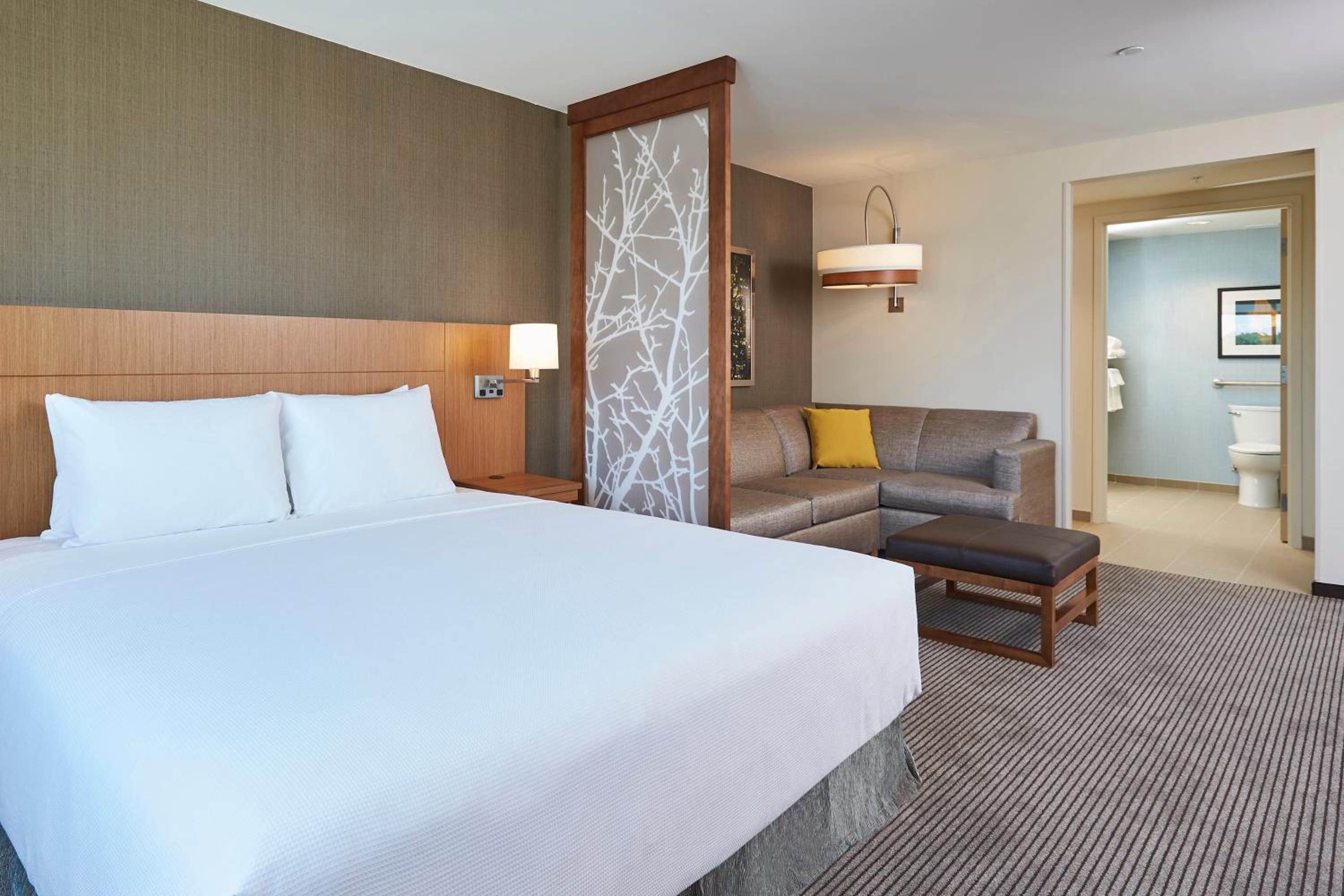 King Room with Sofa Bed