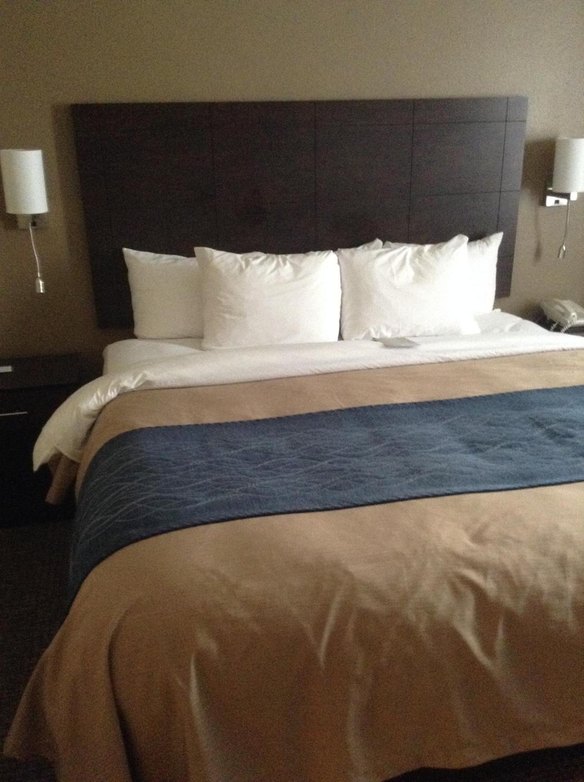 Standard King Room - Non-Smoking  - Photo 1