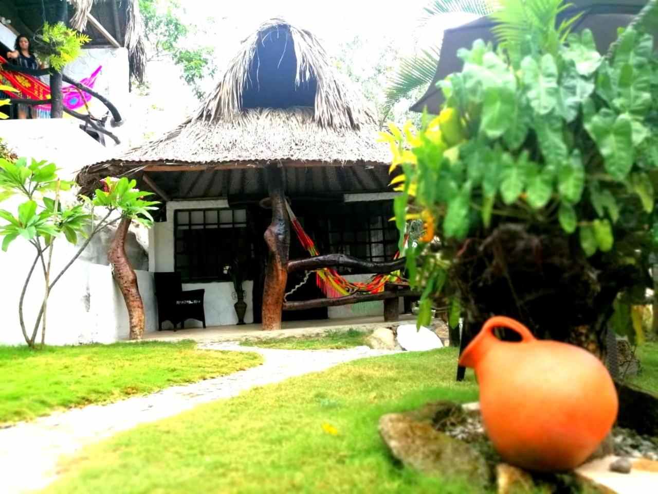 Double Room with Pool View photo 3