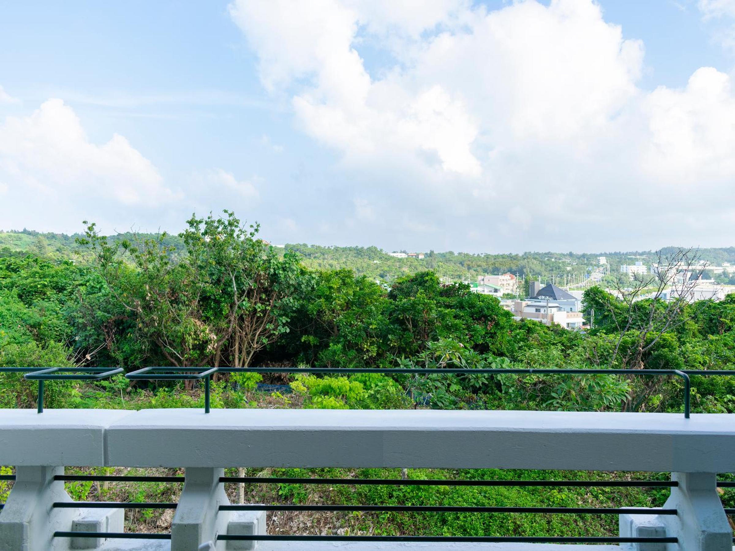Luxury Room with Mountain View - Non-Smoking (Futon for 3+ guests) - Photo 4