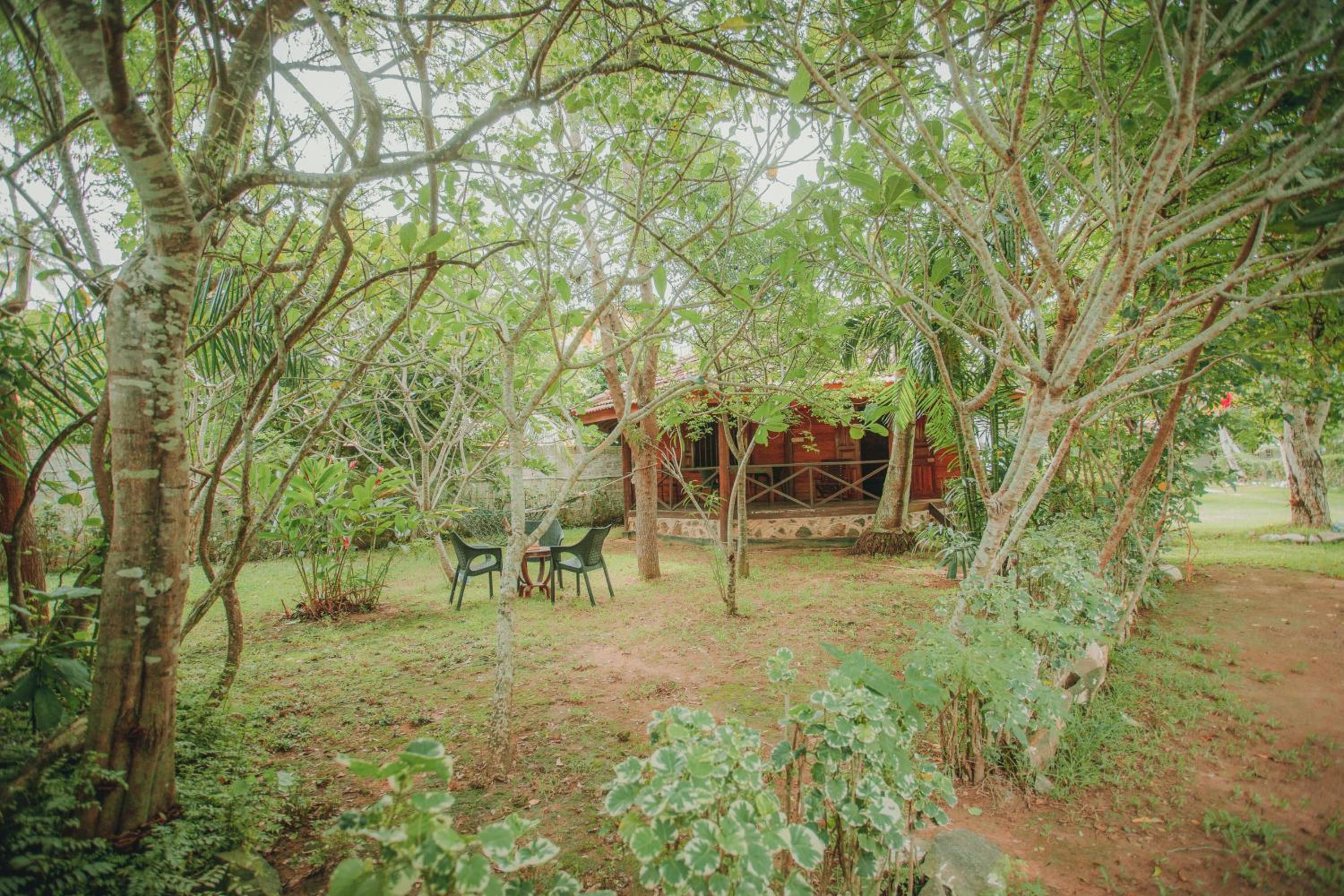 Double Room with Garden View