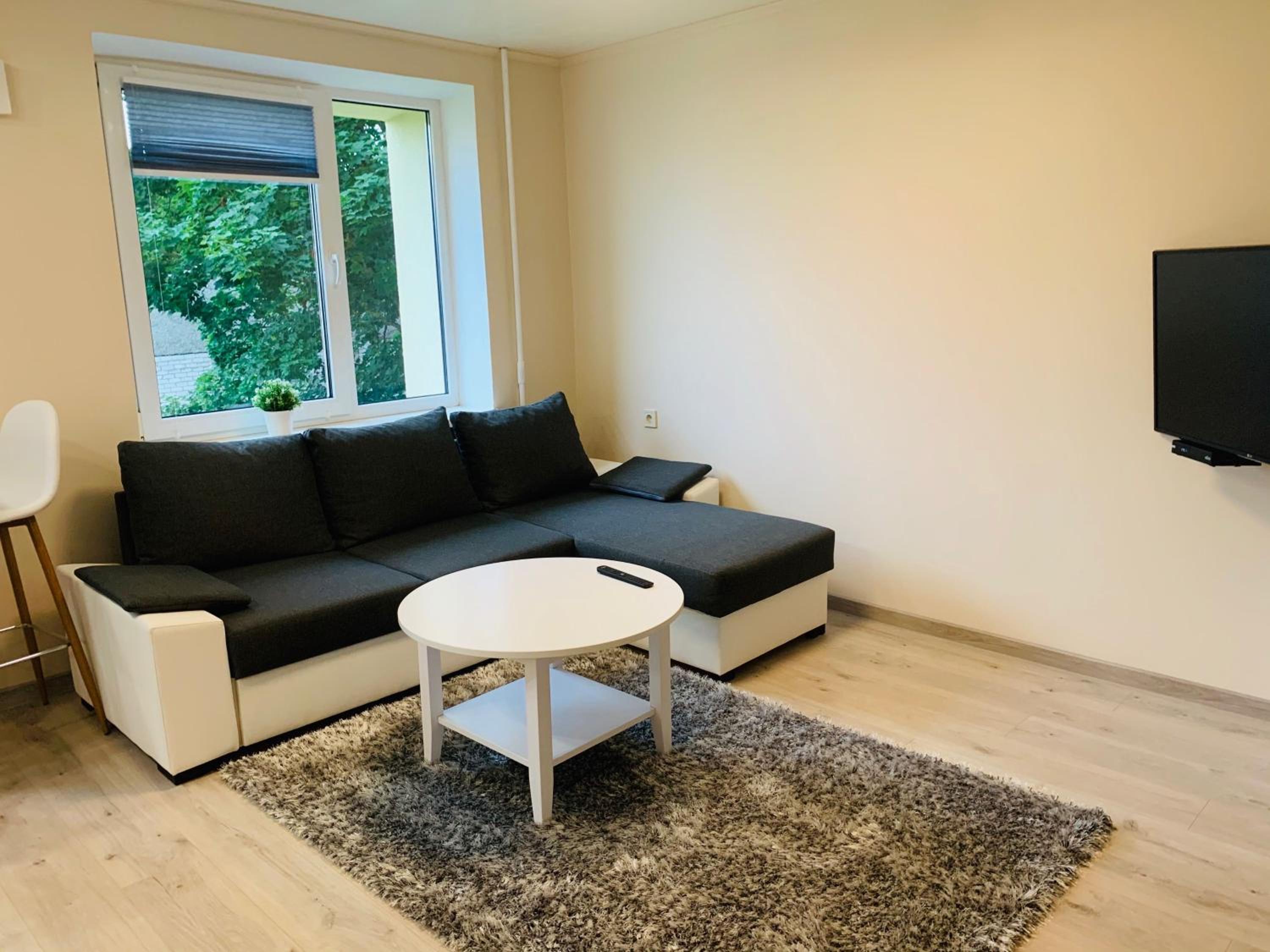 One-Bedroom Apartment - Photo 3