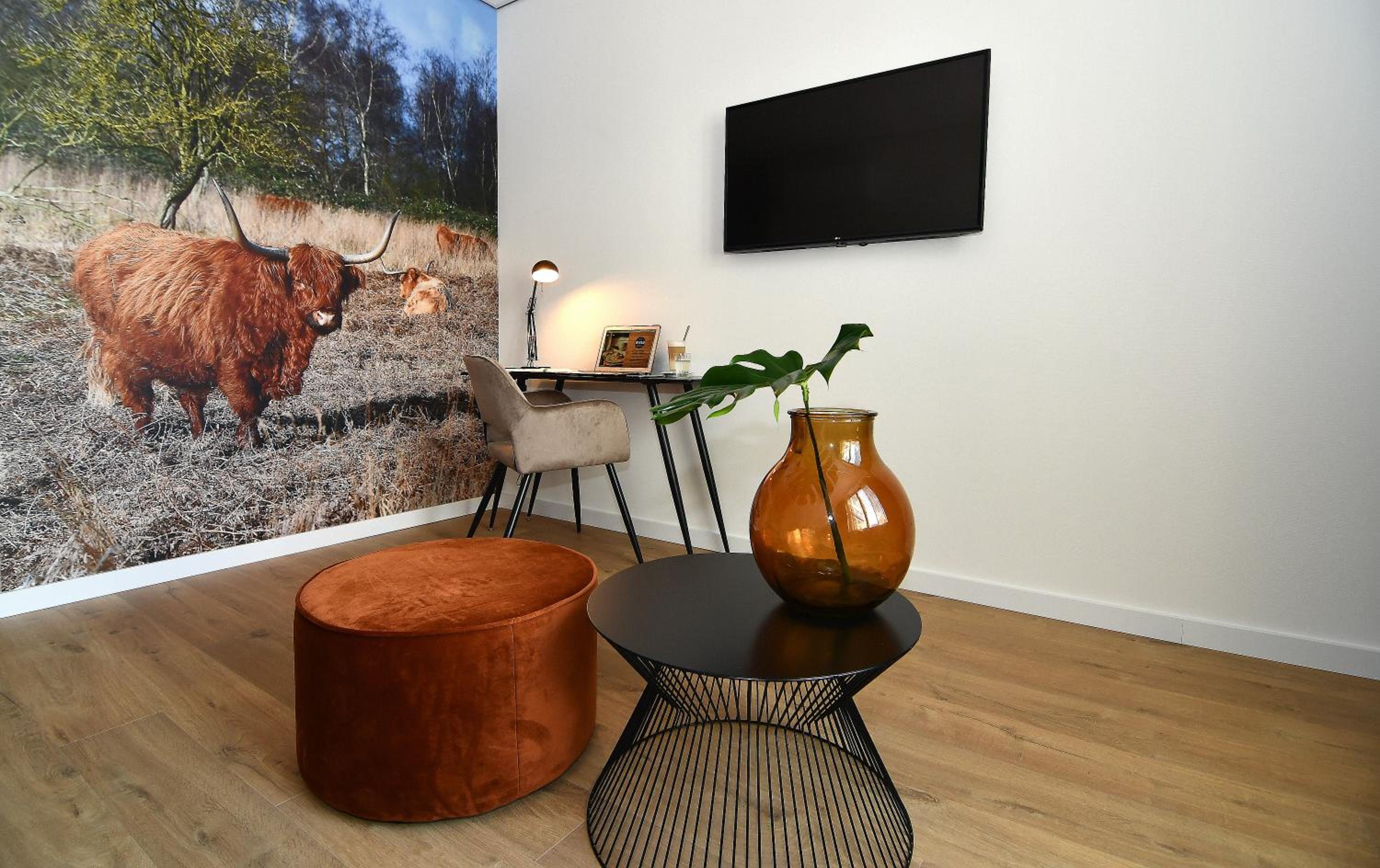 Deluxe Suite - Photo 3