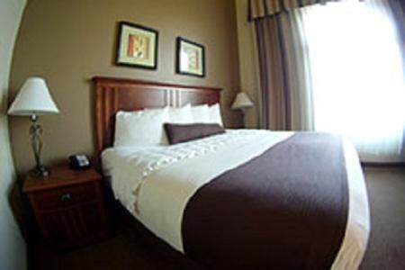 Executive King Room photo 1
