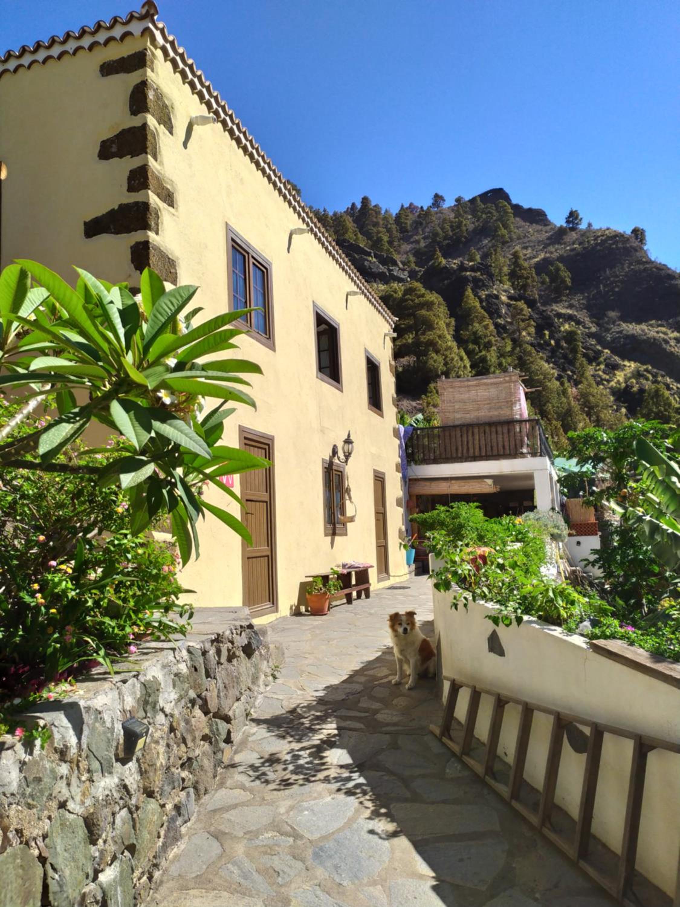 Double Room with Mountain View photo 3