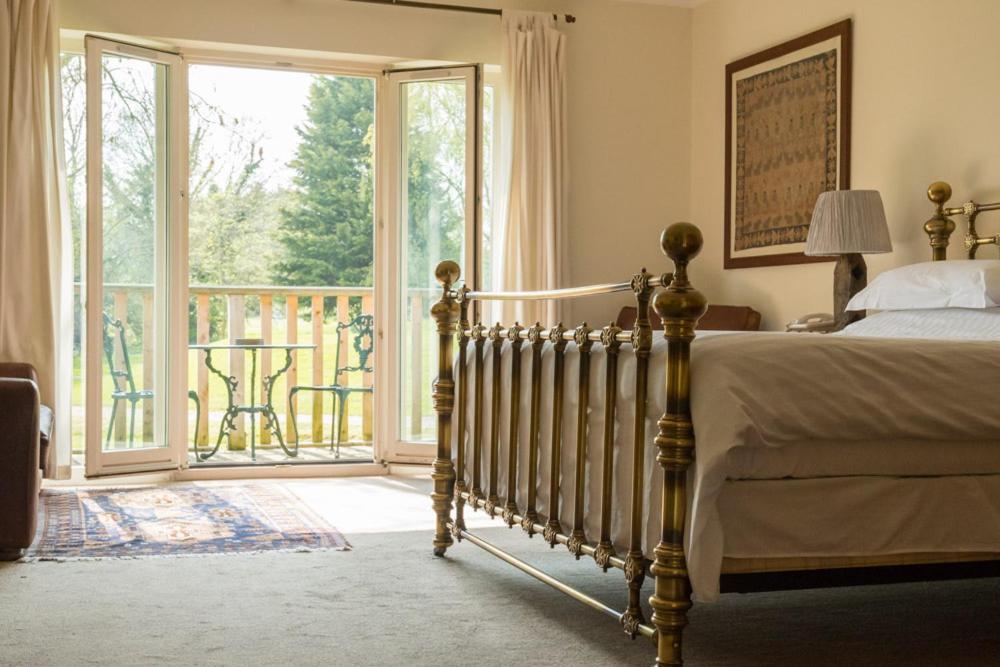King Room photo 1