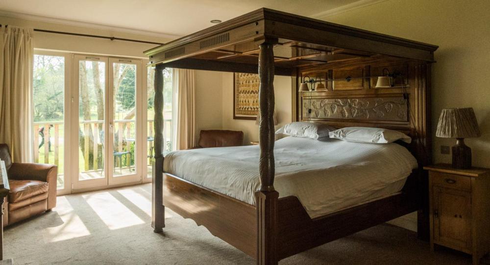 King Room photo 2