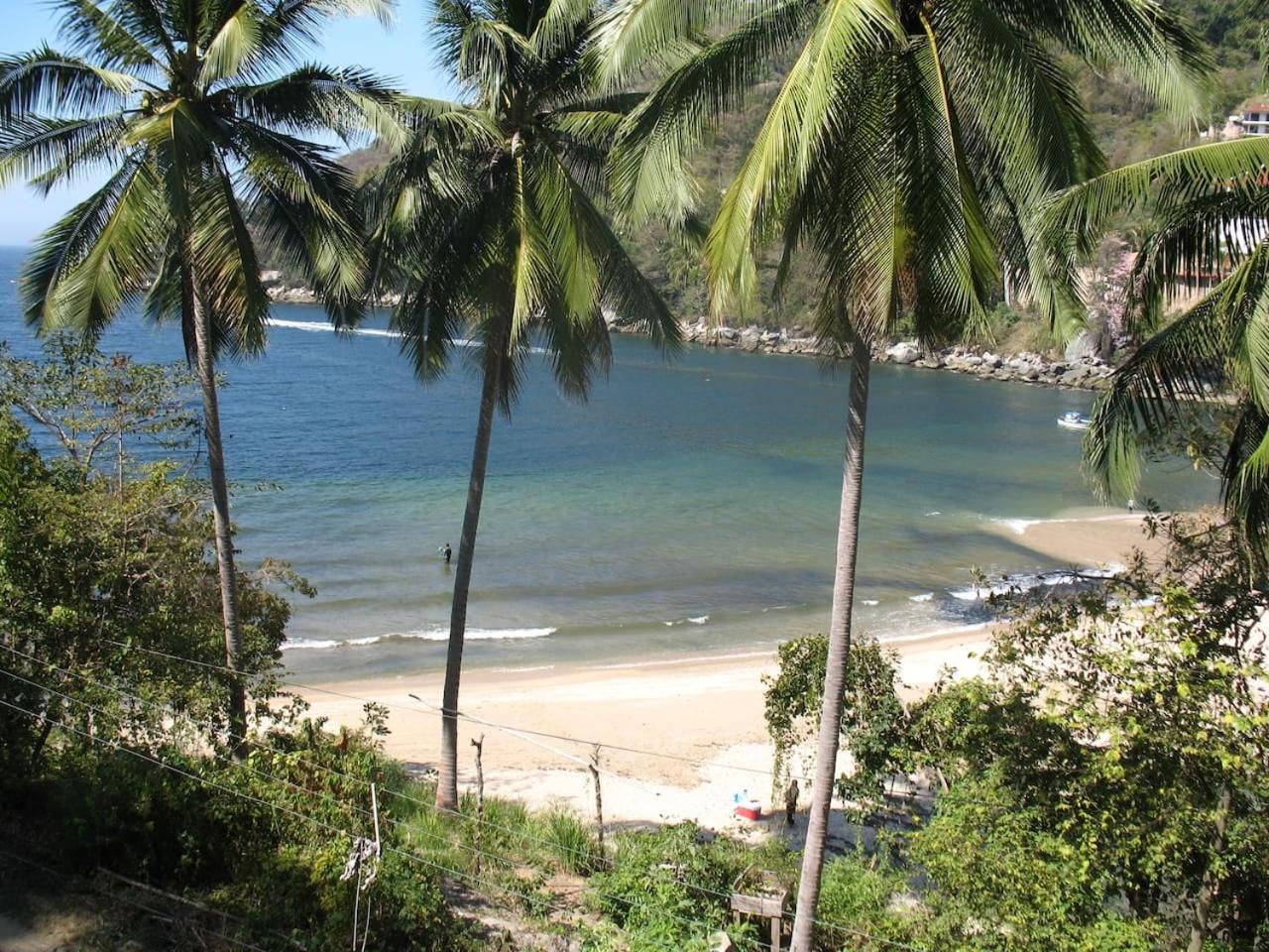 Jungle Hideaway - Photo 16