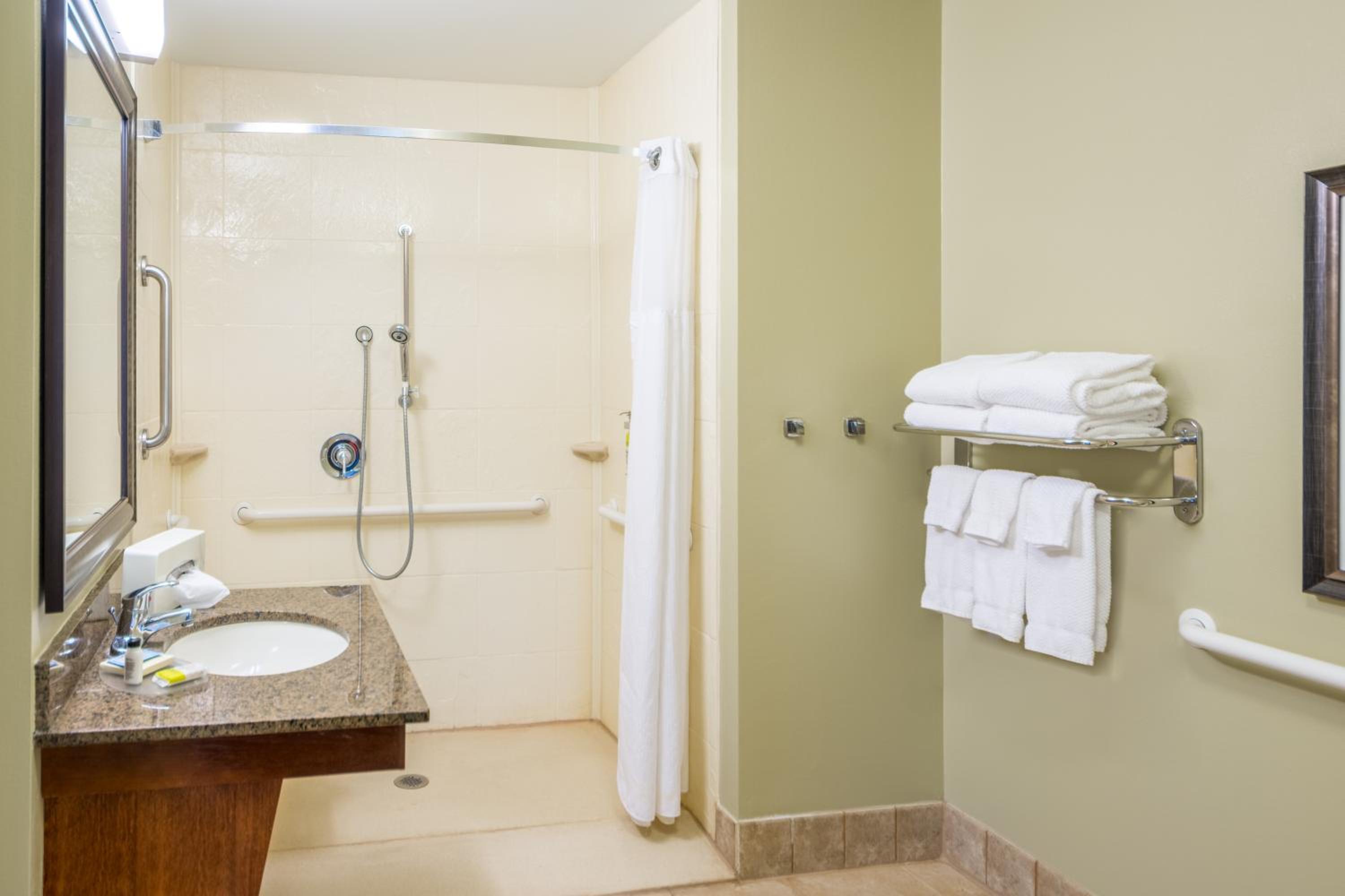 Suite - Hearing Access Roll in Shower/Non-Smoking - Photo 6