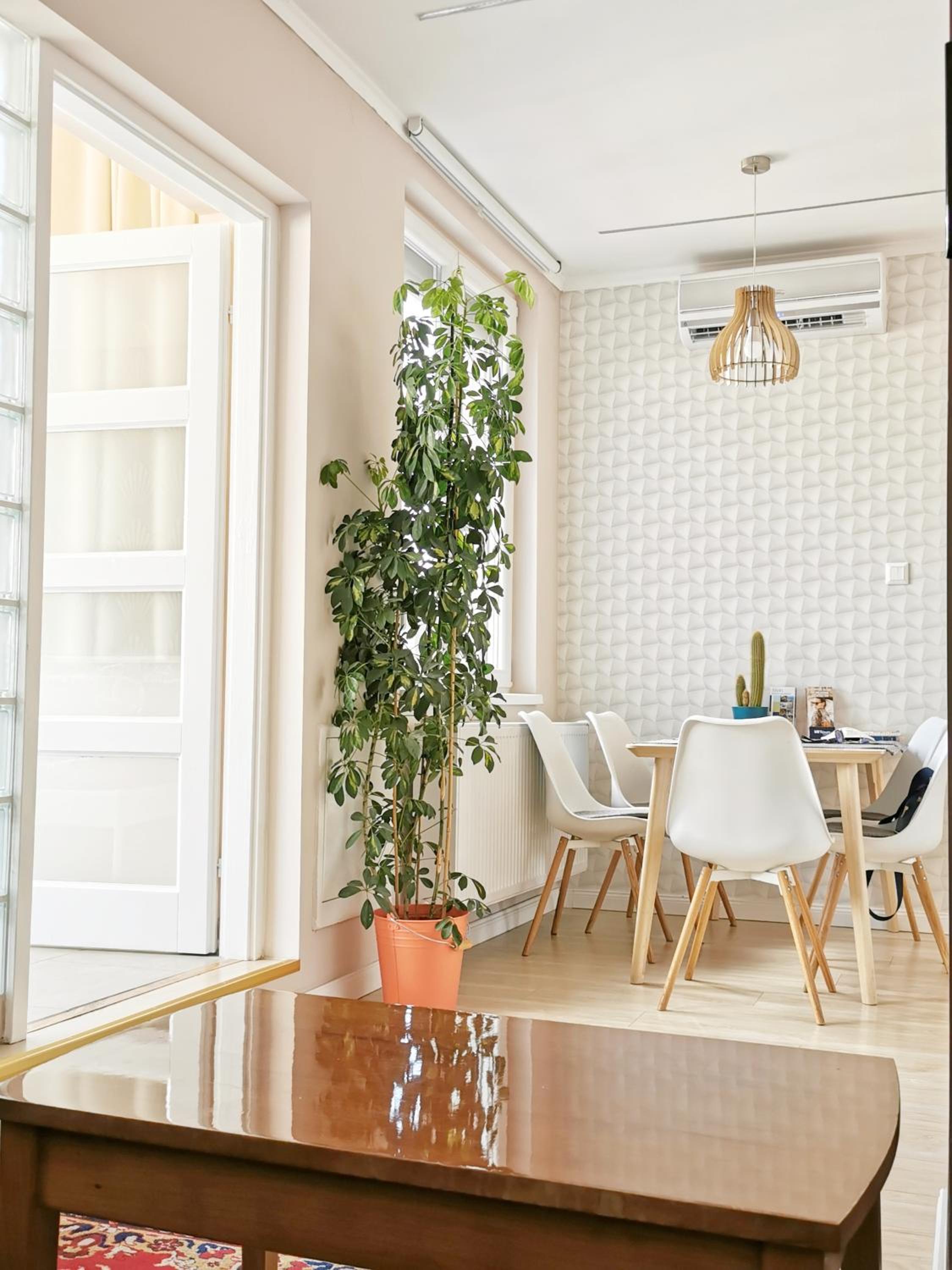 Apartment with Terrace - Photo 11