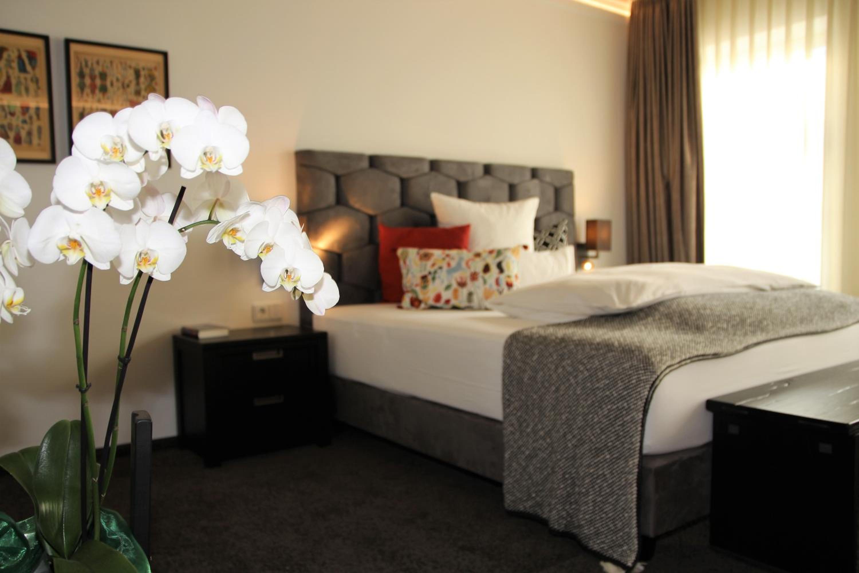 Superior Room photo 1