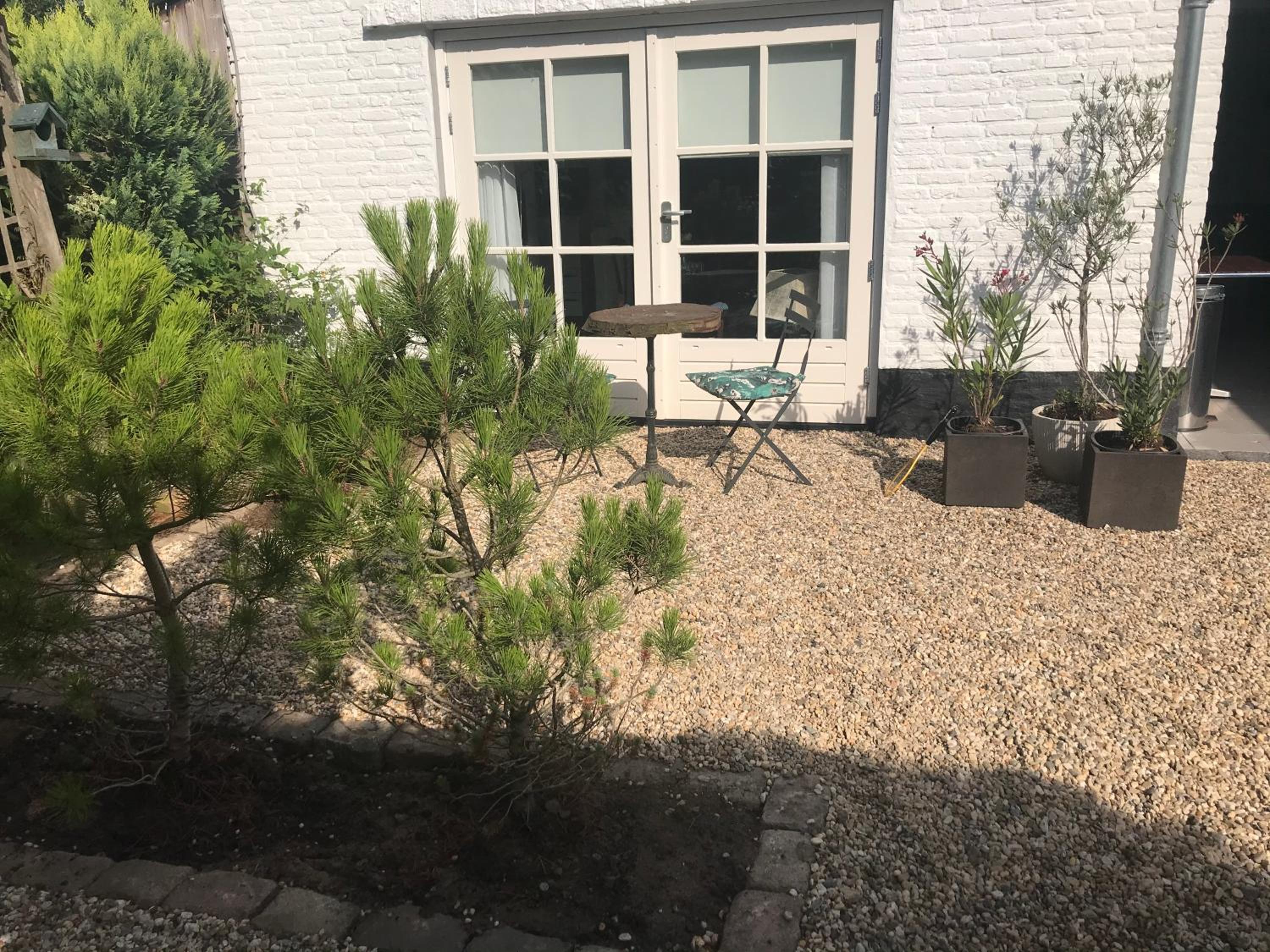 King Room with Garden View photo 1
