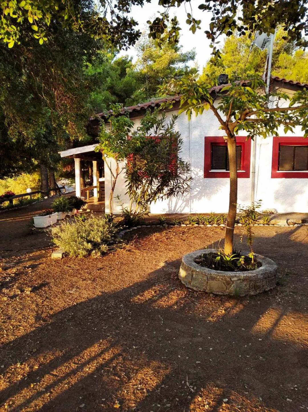 Apartment with Garden View - Photo 9
