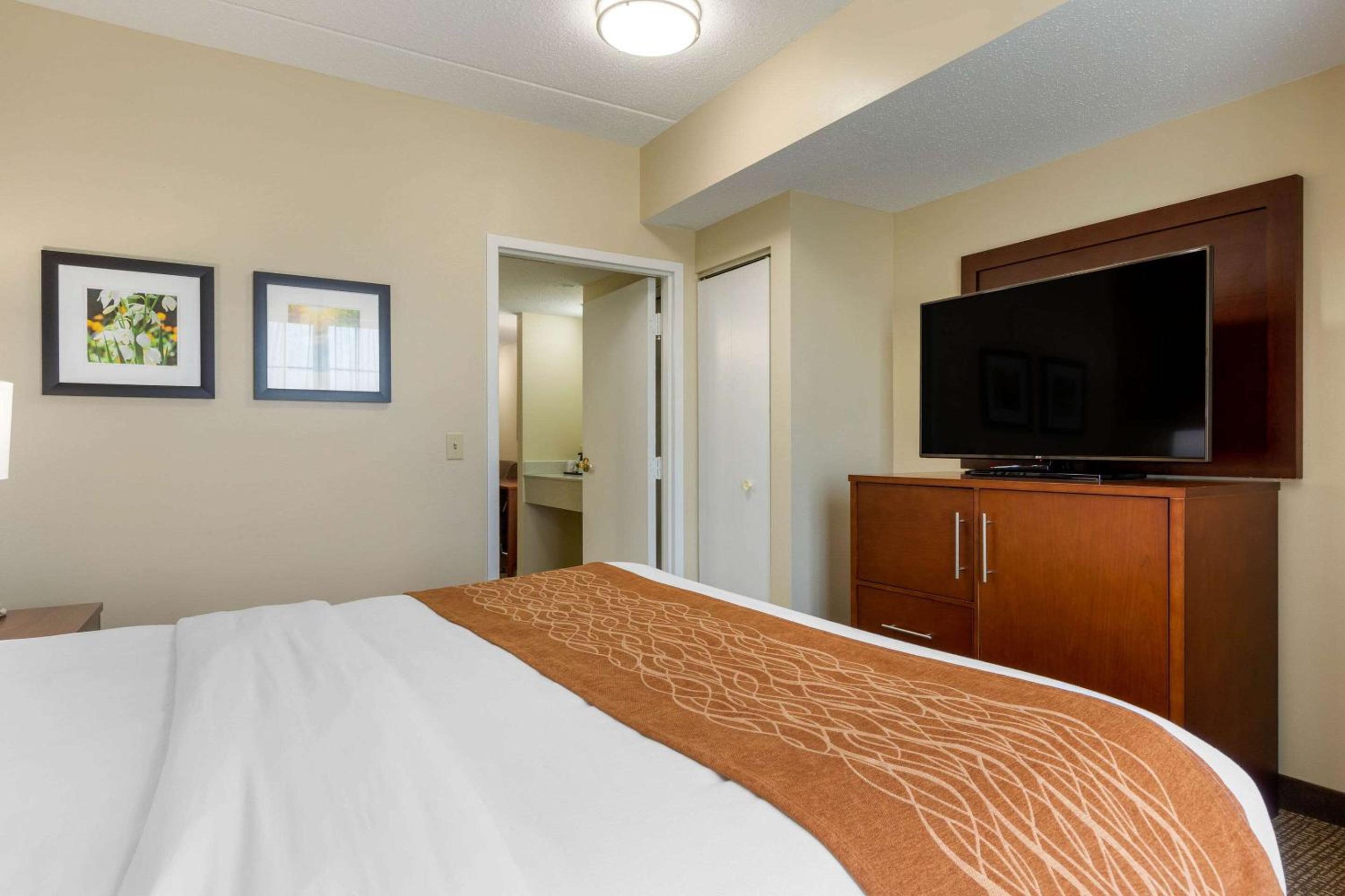 King Suite with Sofa Bed - Non-Smoking - Photo 1