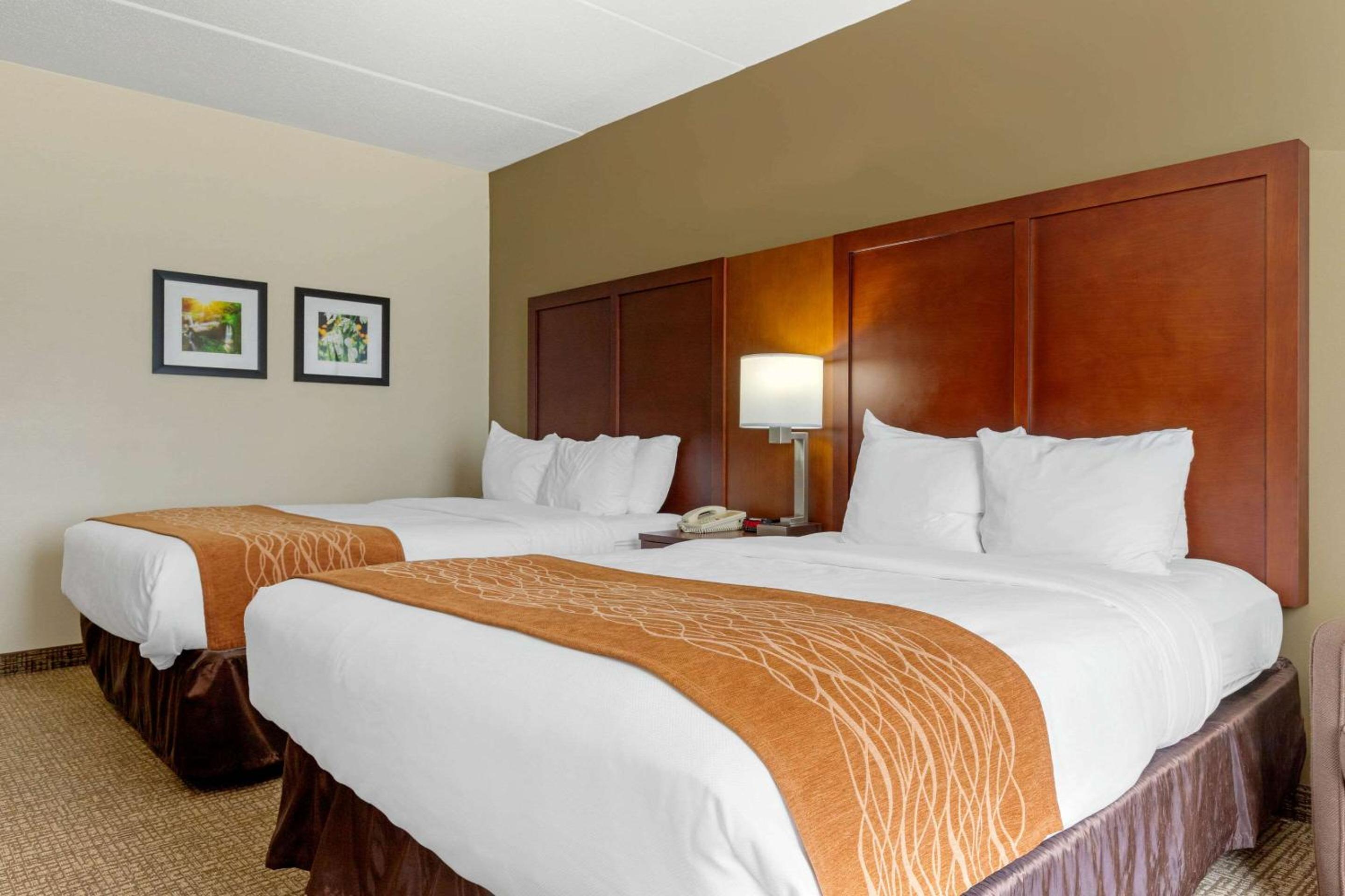 Queen Room with Two Queen Beds - Non-Smoking - Photo 3