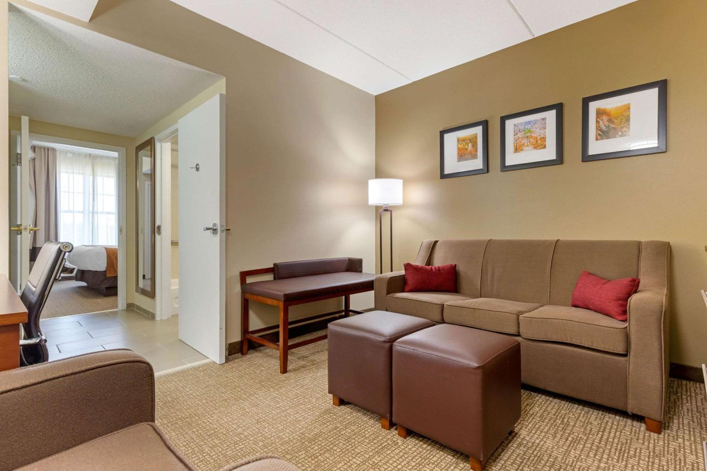 King Suite with Sofa Bed - Non-Smoking - Photo 3