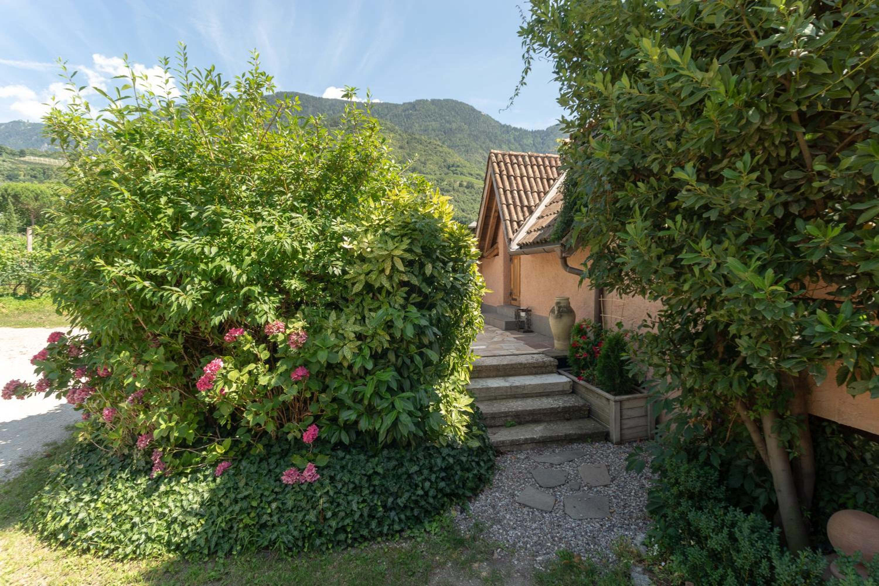 Double Room with Terrace photo 2