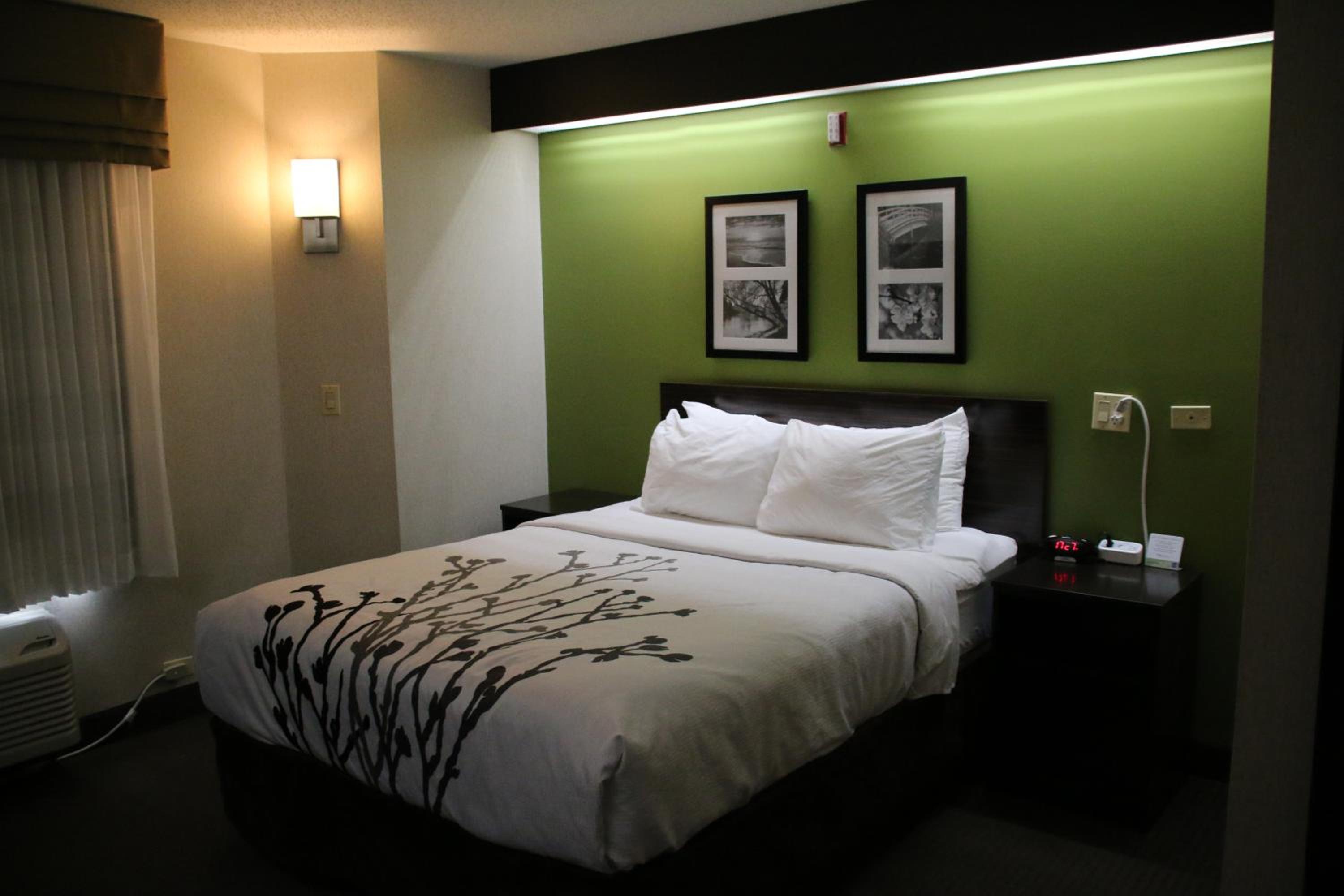 Queen Room - Accessible/Non-Smoking - Photo 1