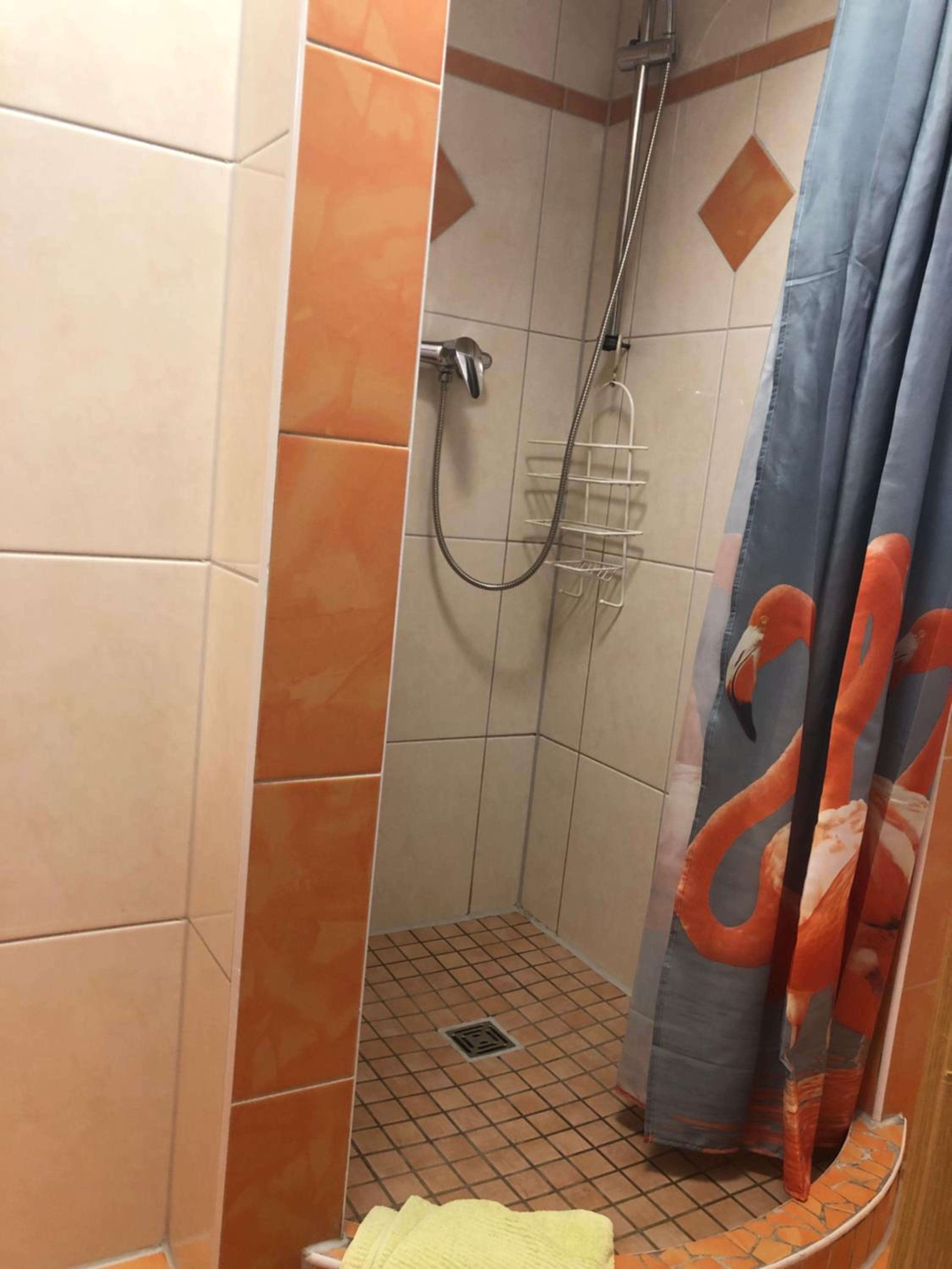 Single Room with Shower photo 3