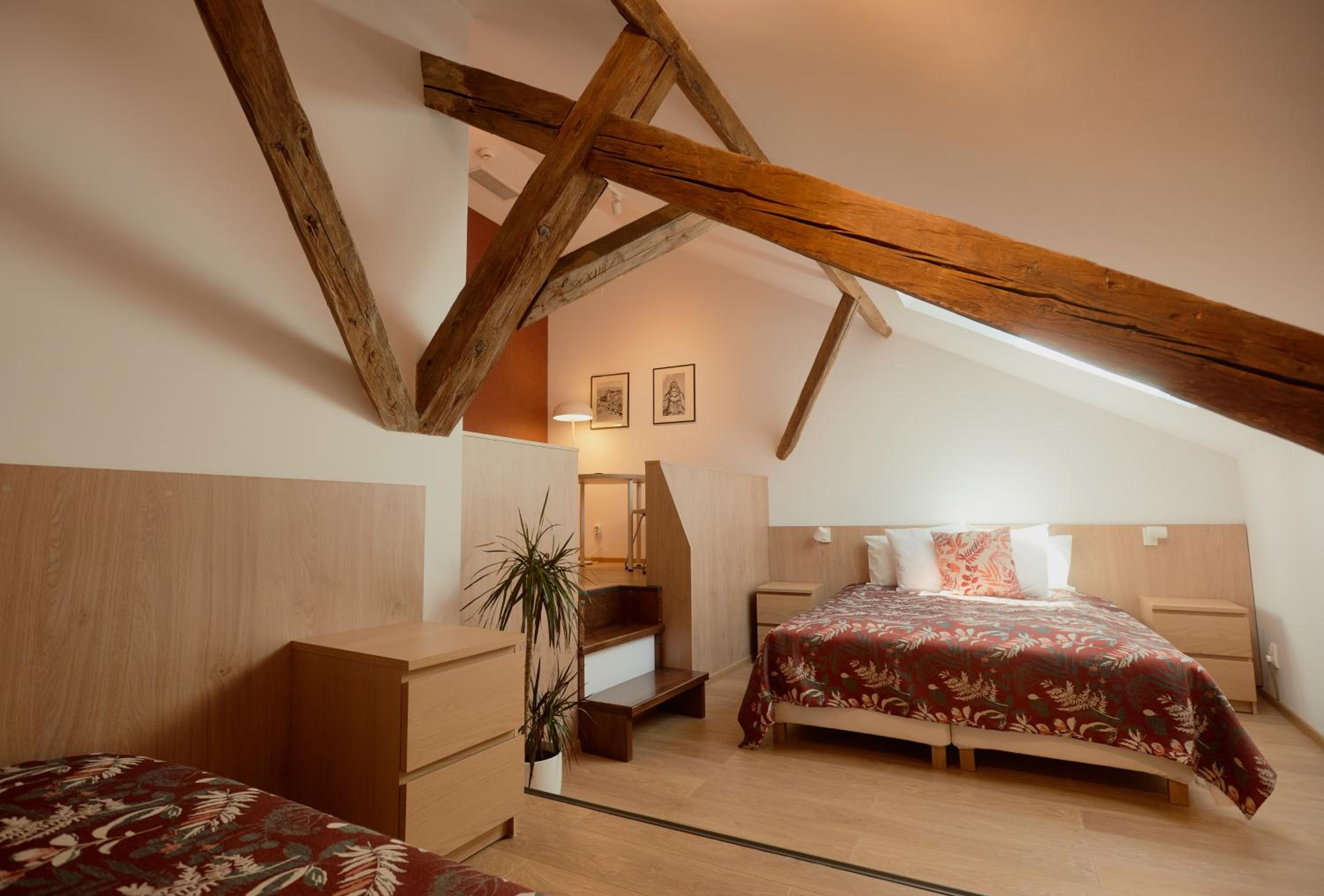 Deluxe Double Room photo 3