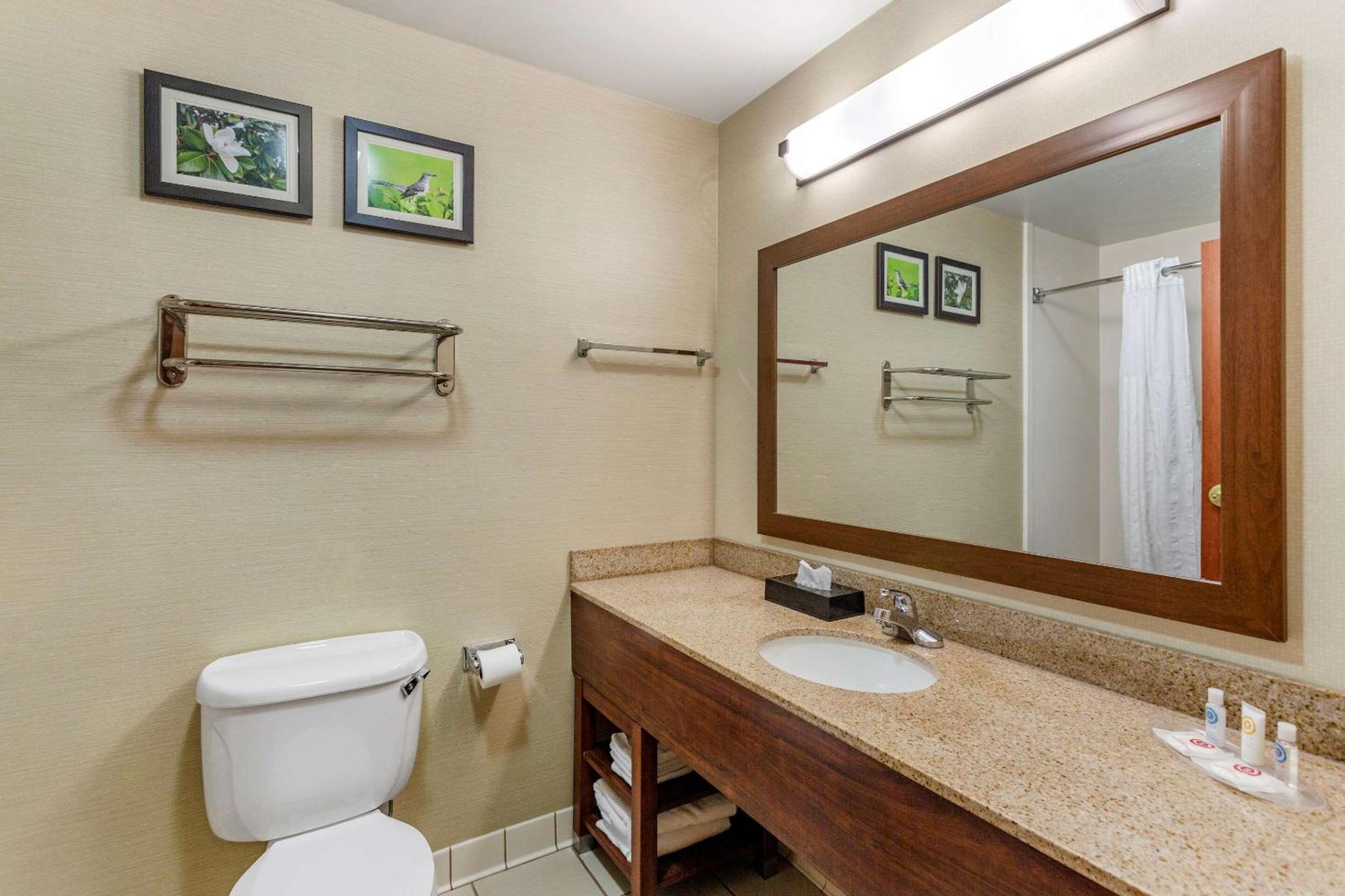 King Suite - Non-Smoking - Photo 4