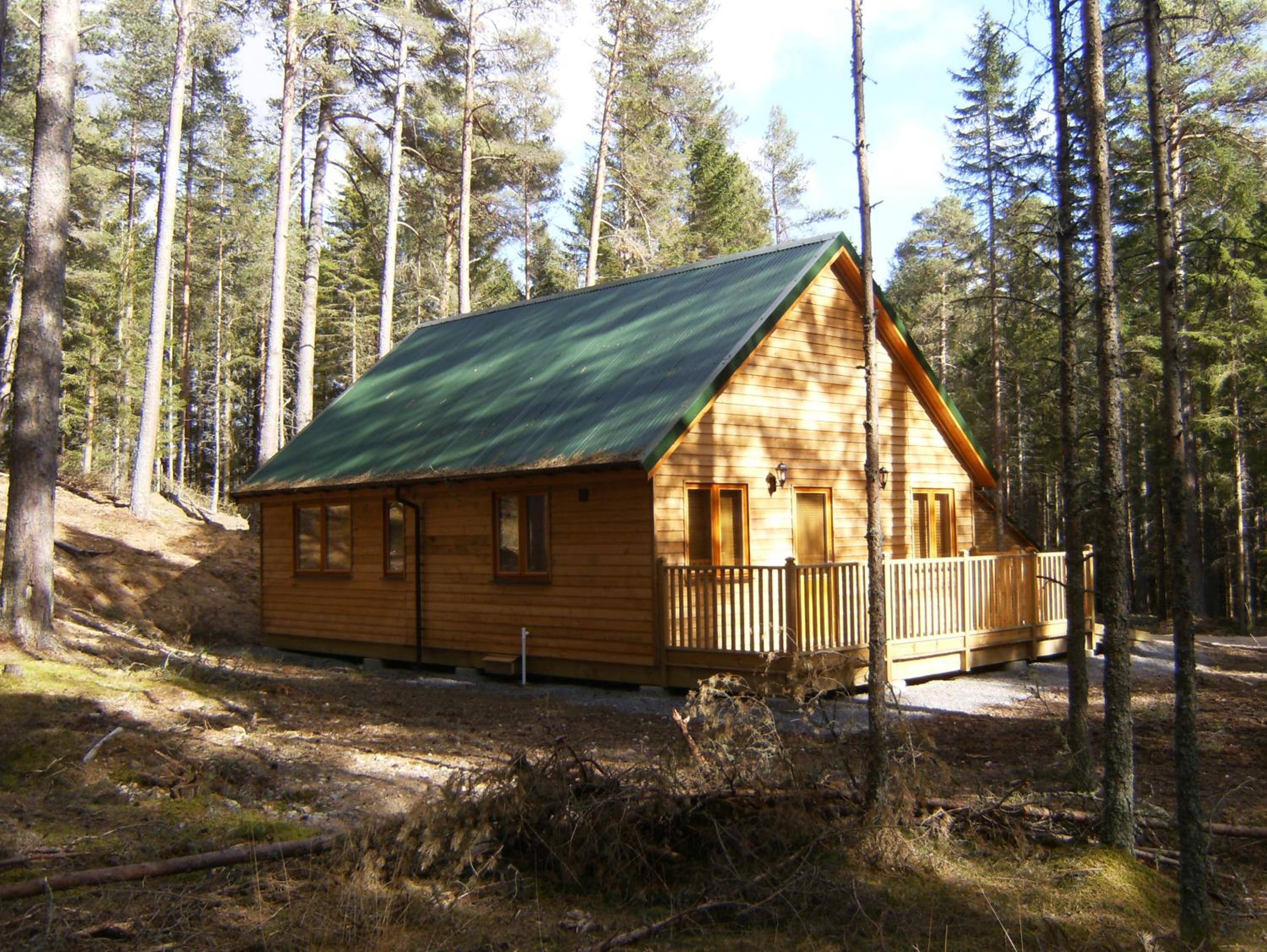 Pine Martin Lodge photo 3