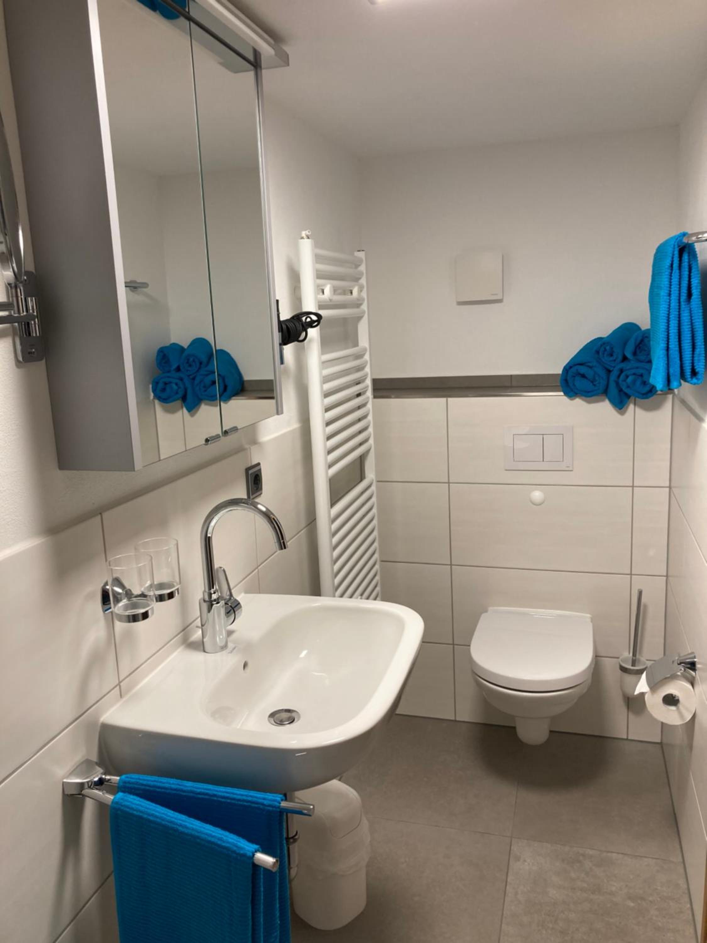 Standard One-Bedroom Apartment photo 2