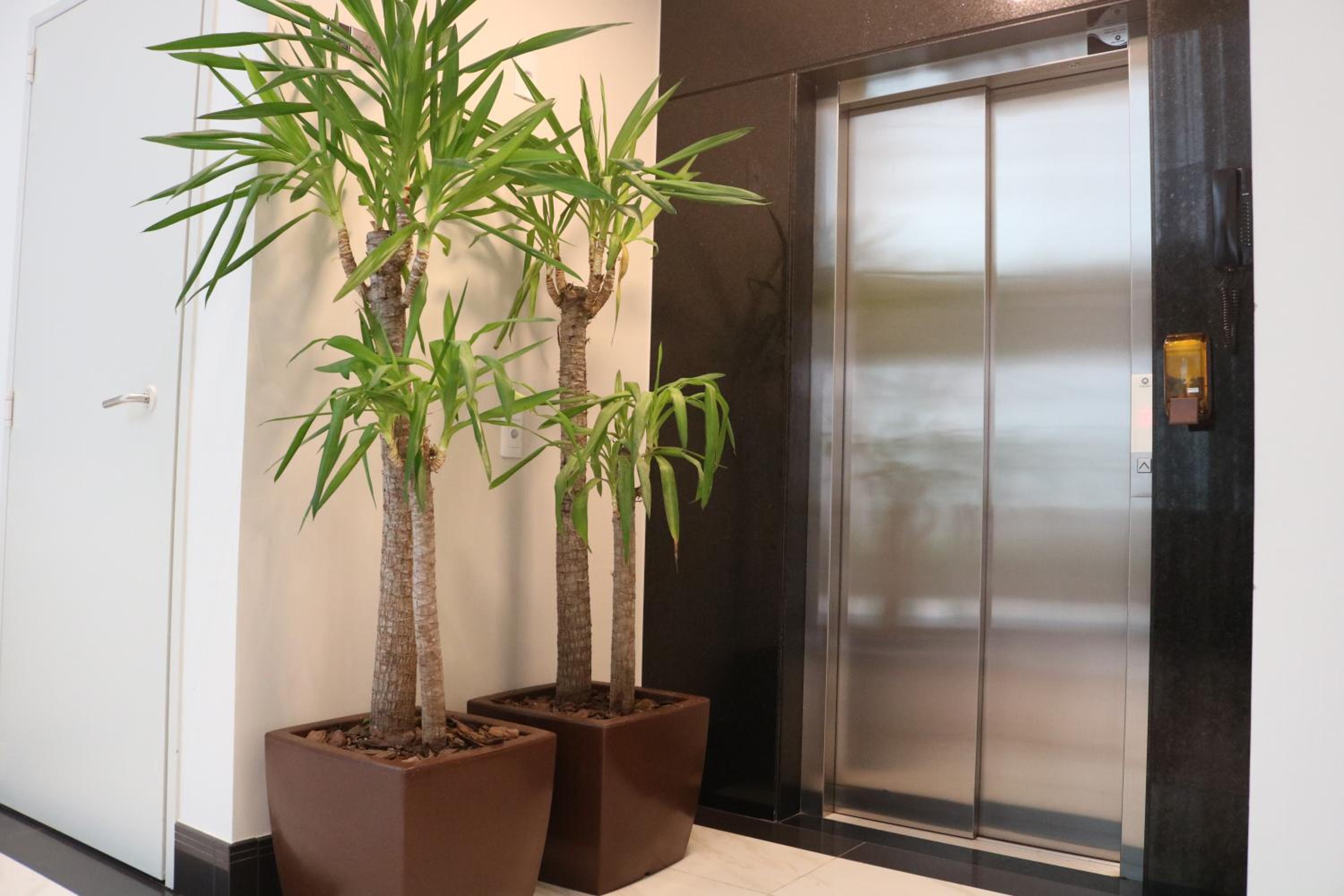 Two-Bedroom Apartment - Photo 26