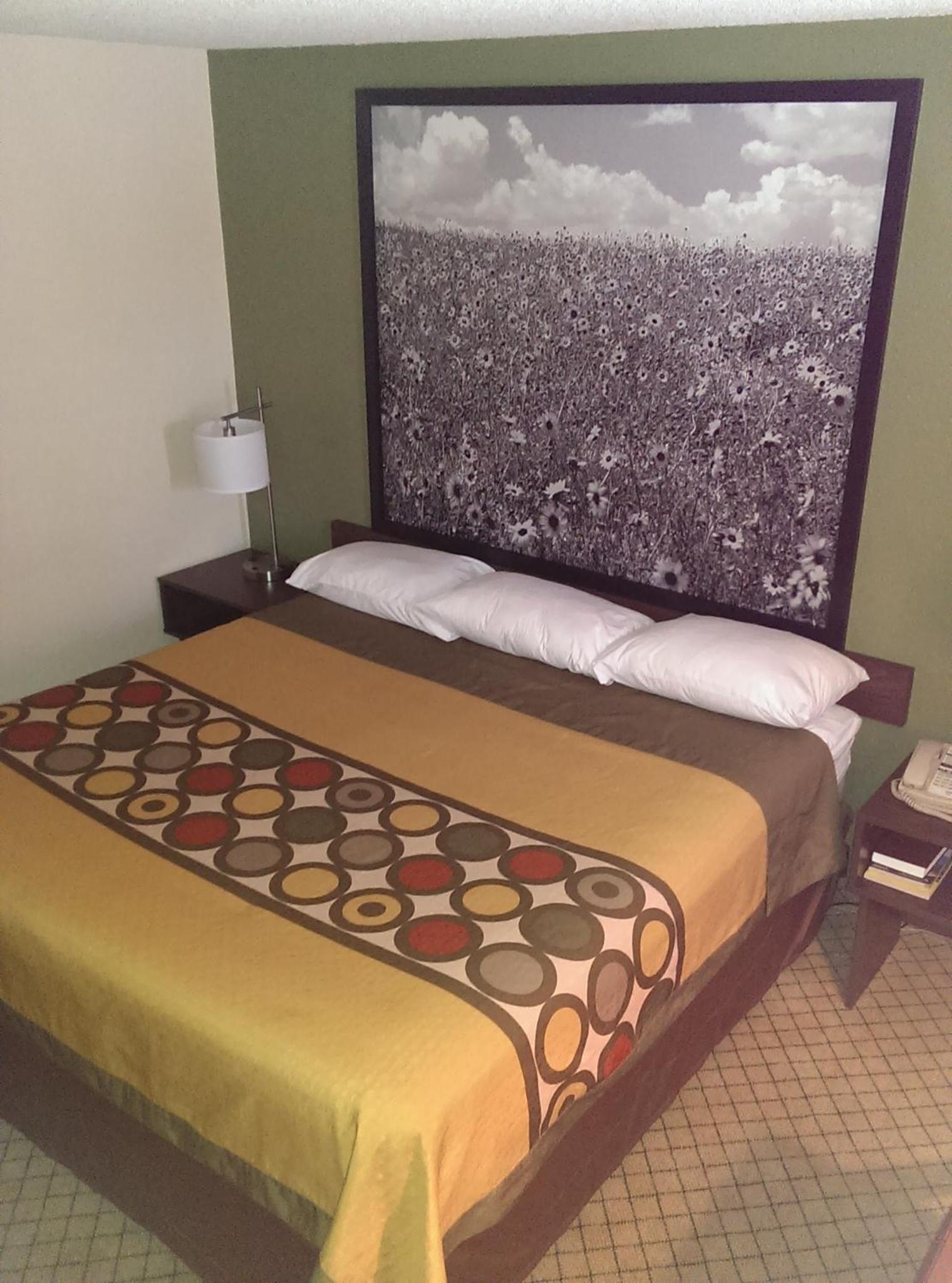 King Room - Non-Smoking - Photo 7