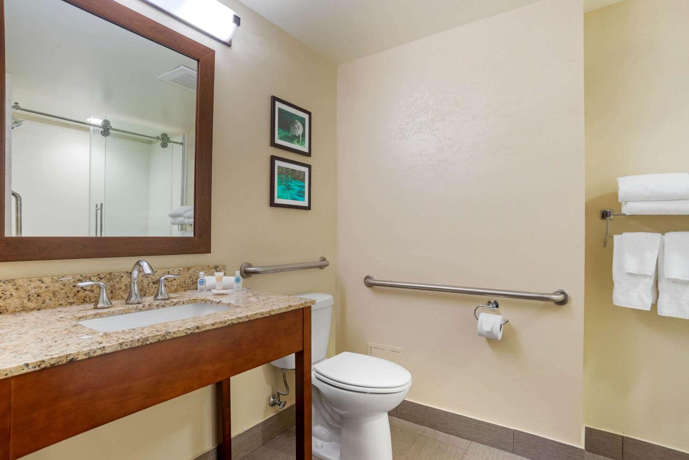 King Suite - Accessible/Non-Smoking - Photo 3