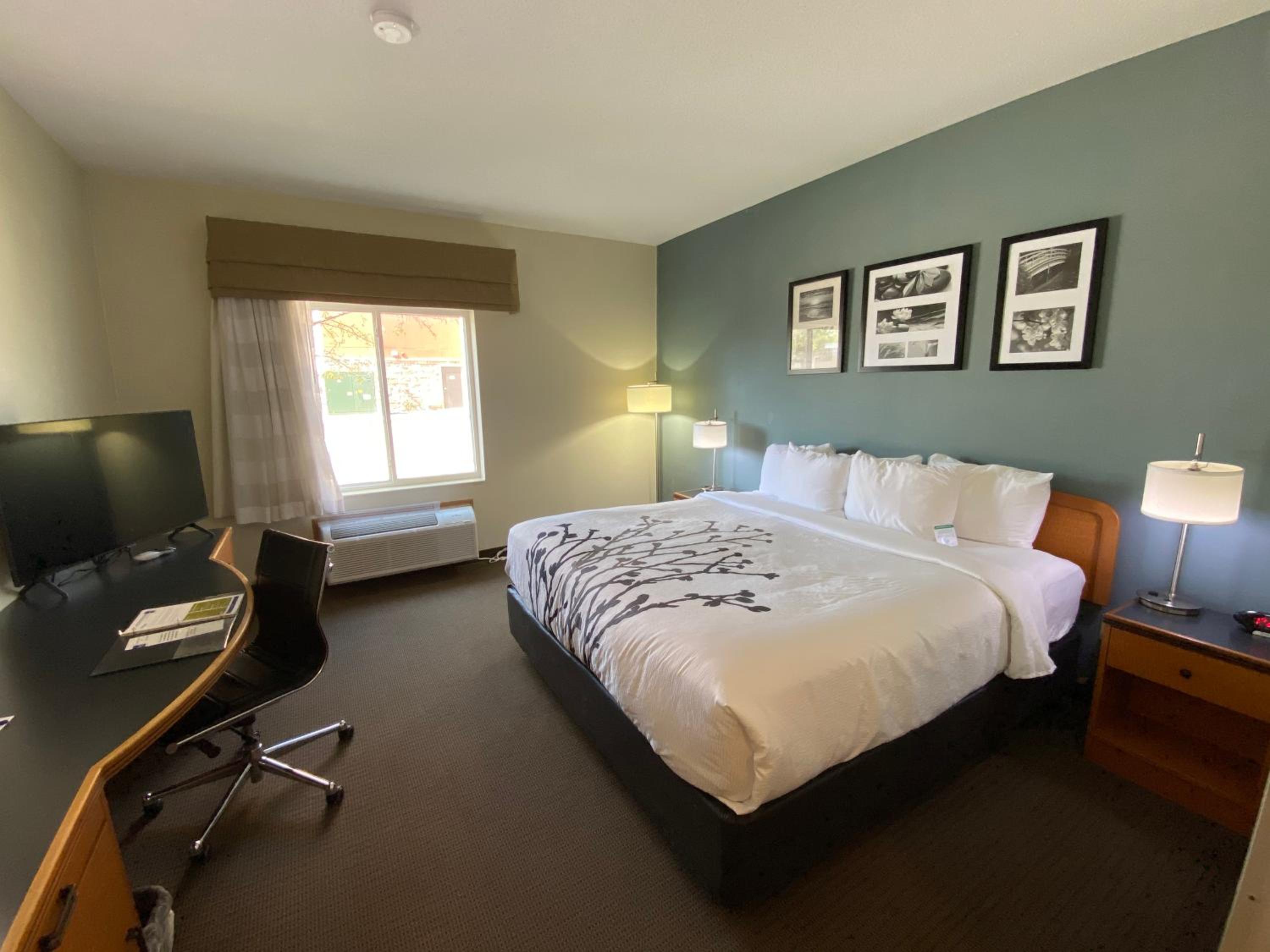 King Room - Non-Smoking - Photo 2