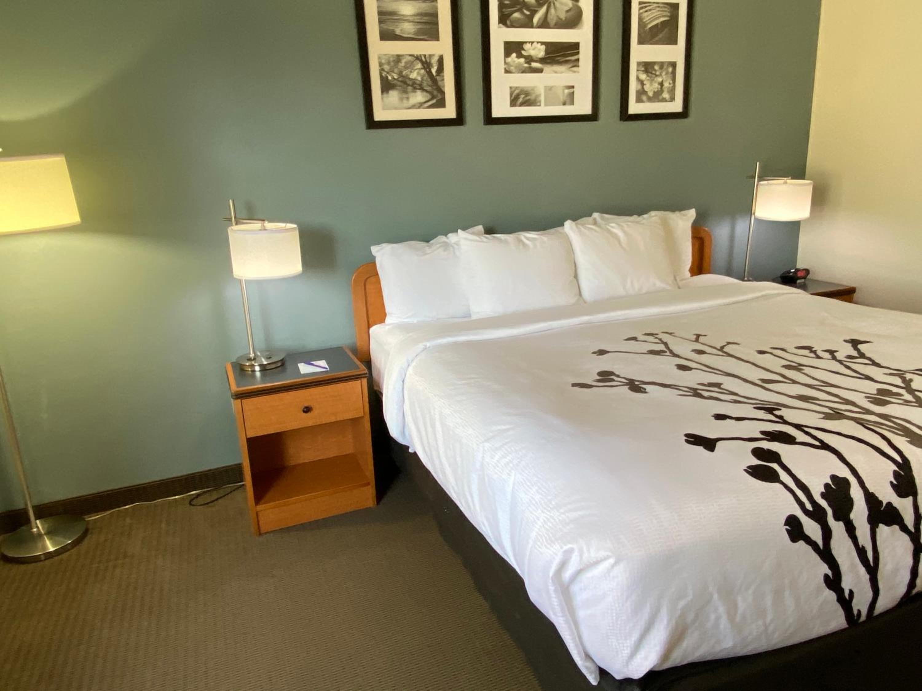 King Room - Non-Smoking - Photo 3