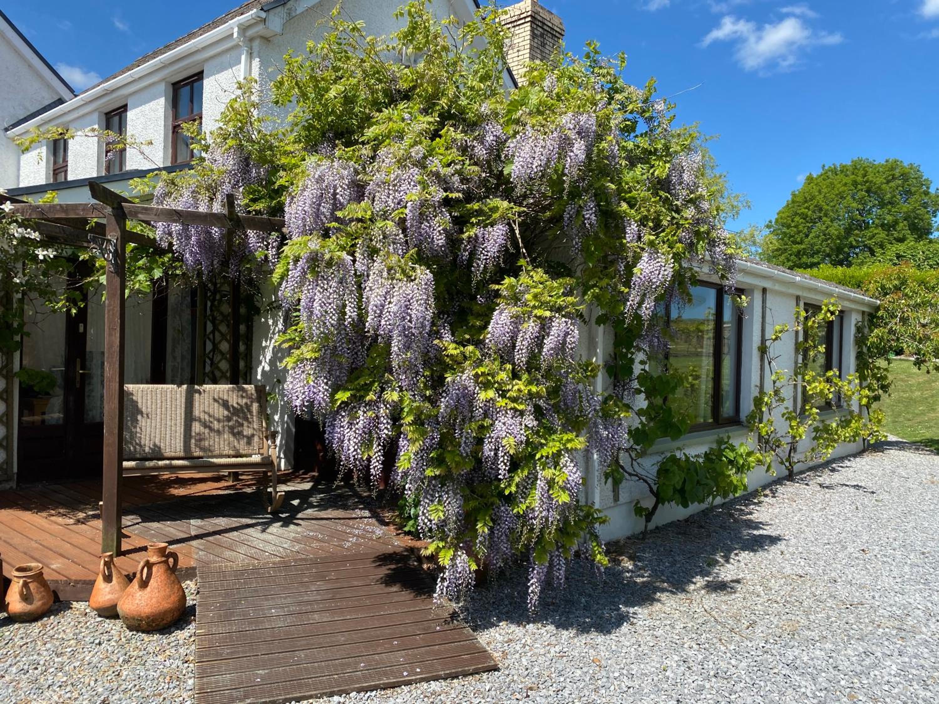 Suite with Garden View - Photo 4