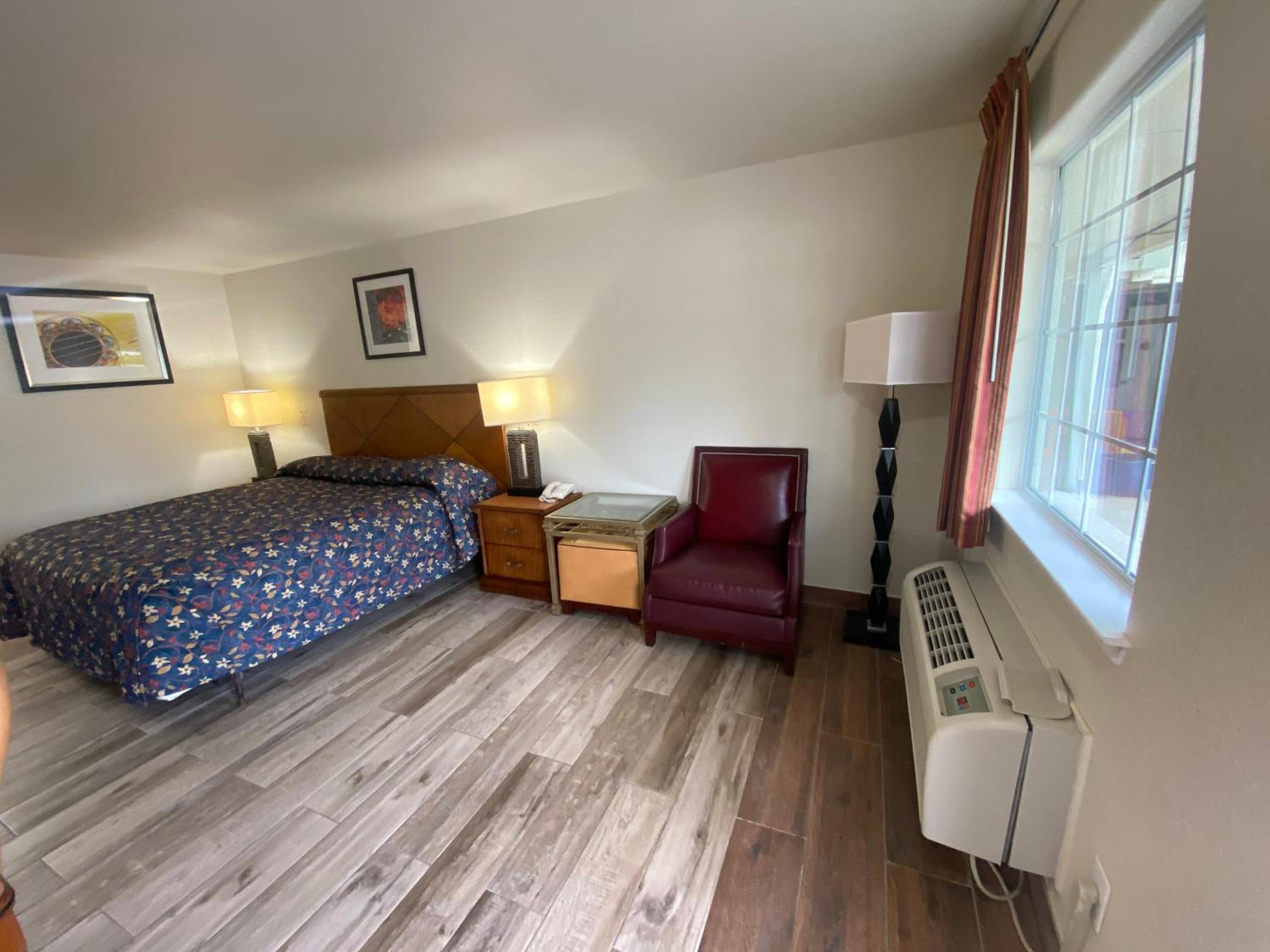 Single Room - Disability Access photo 1