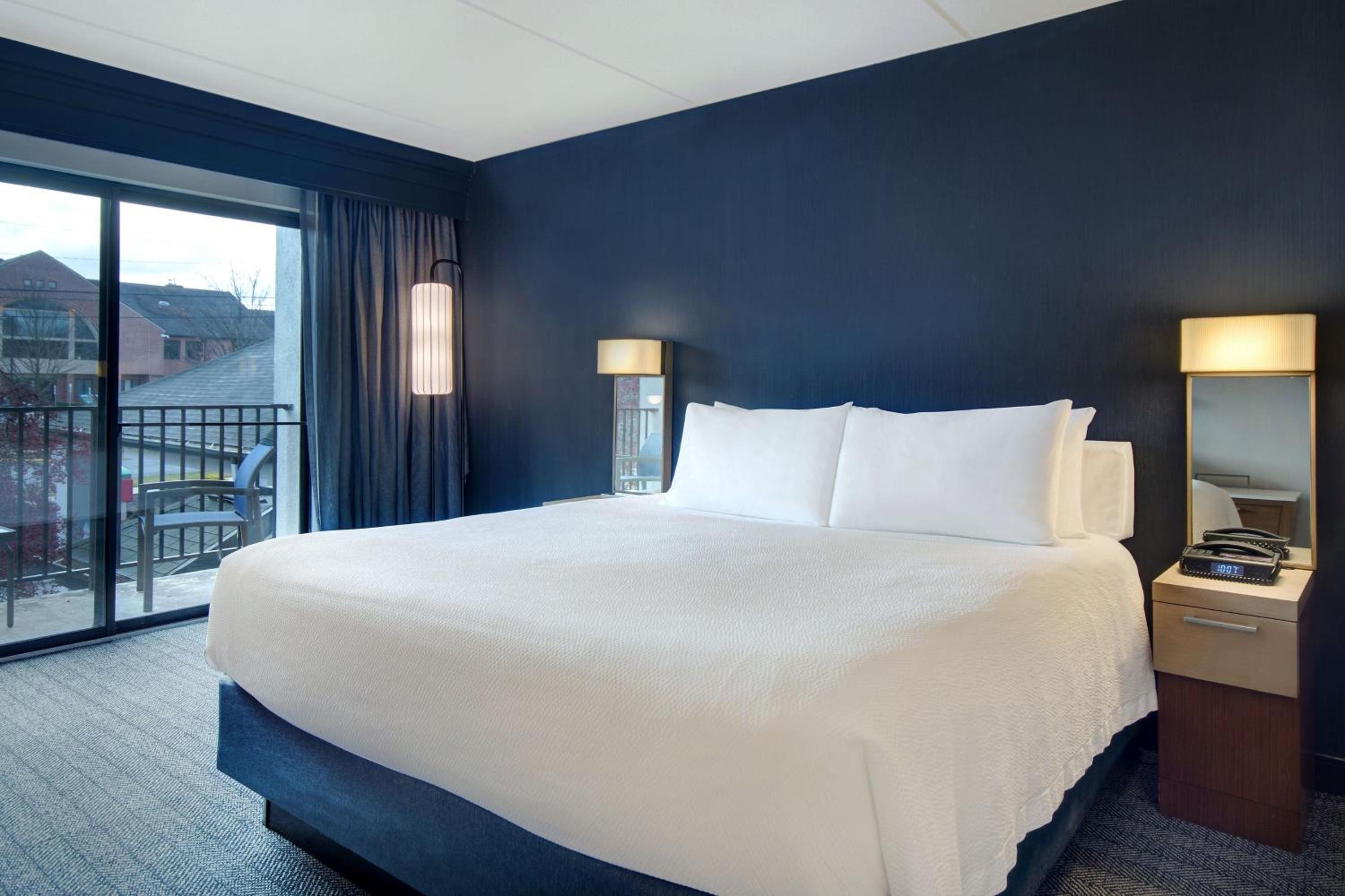 King Room with Transfer Shower, Roll-In Shower and Sofa Bed - Mobility Access/Hearing Accessible