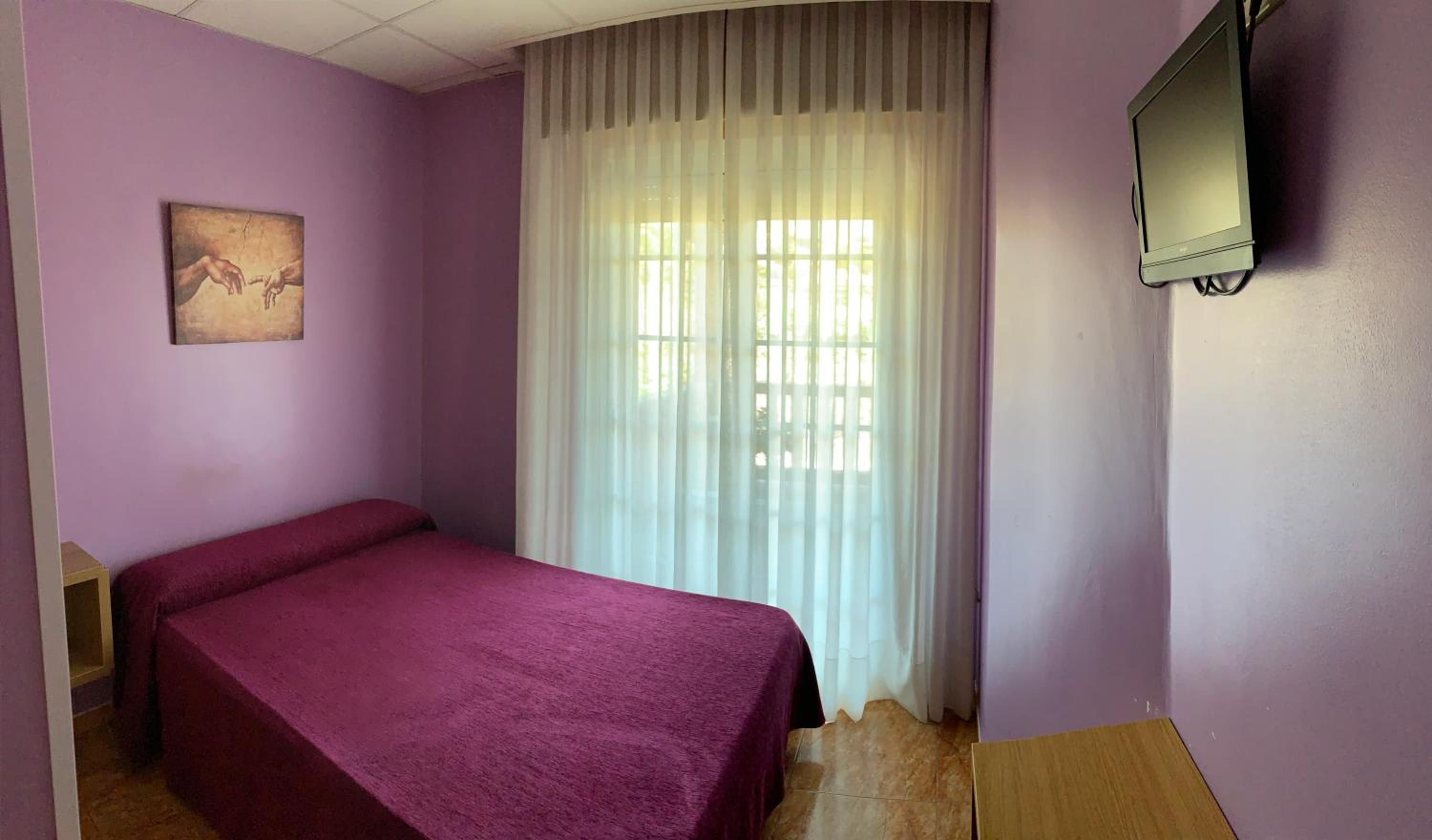 Single Room photo 1