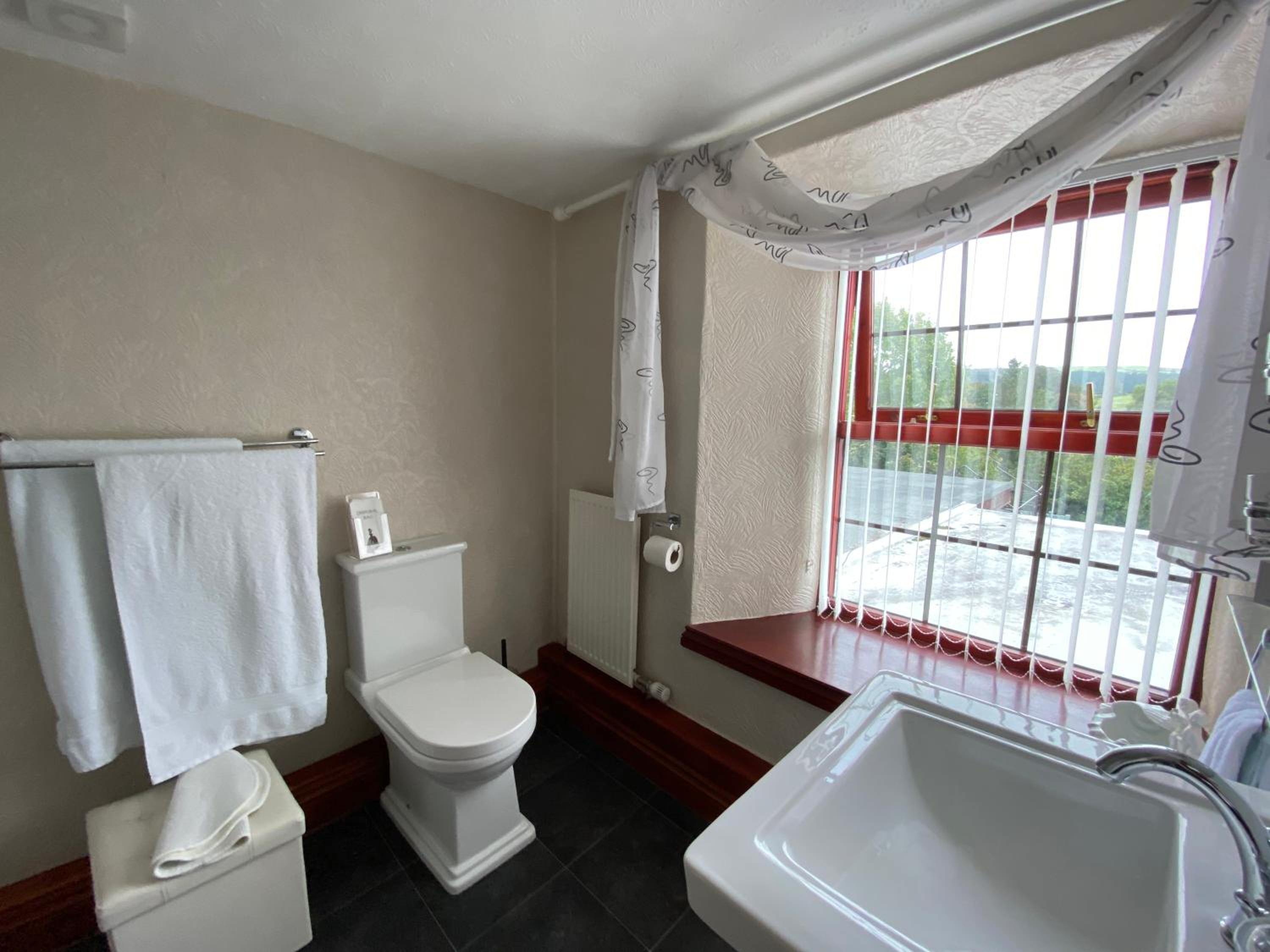 Twin Room photo 3