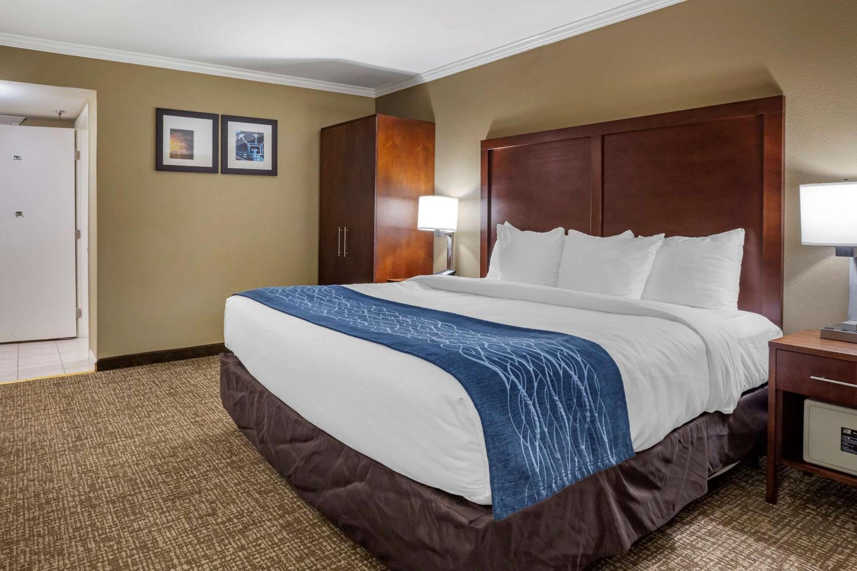 Deluxe Room, 1 King Bed, Accessible Whirlpool Tub, Non Smoking - Photo 3