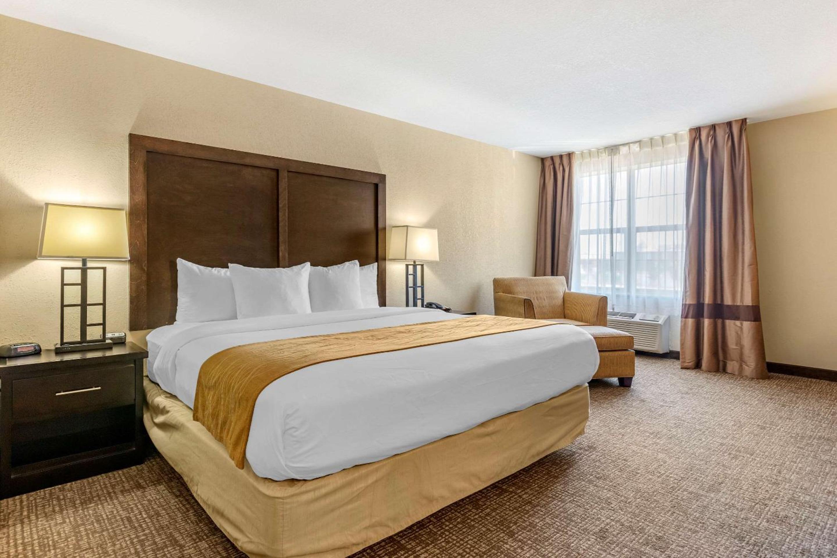 King Suite with Sofa Bed - Non-Smoking - Photo 2