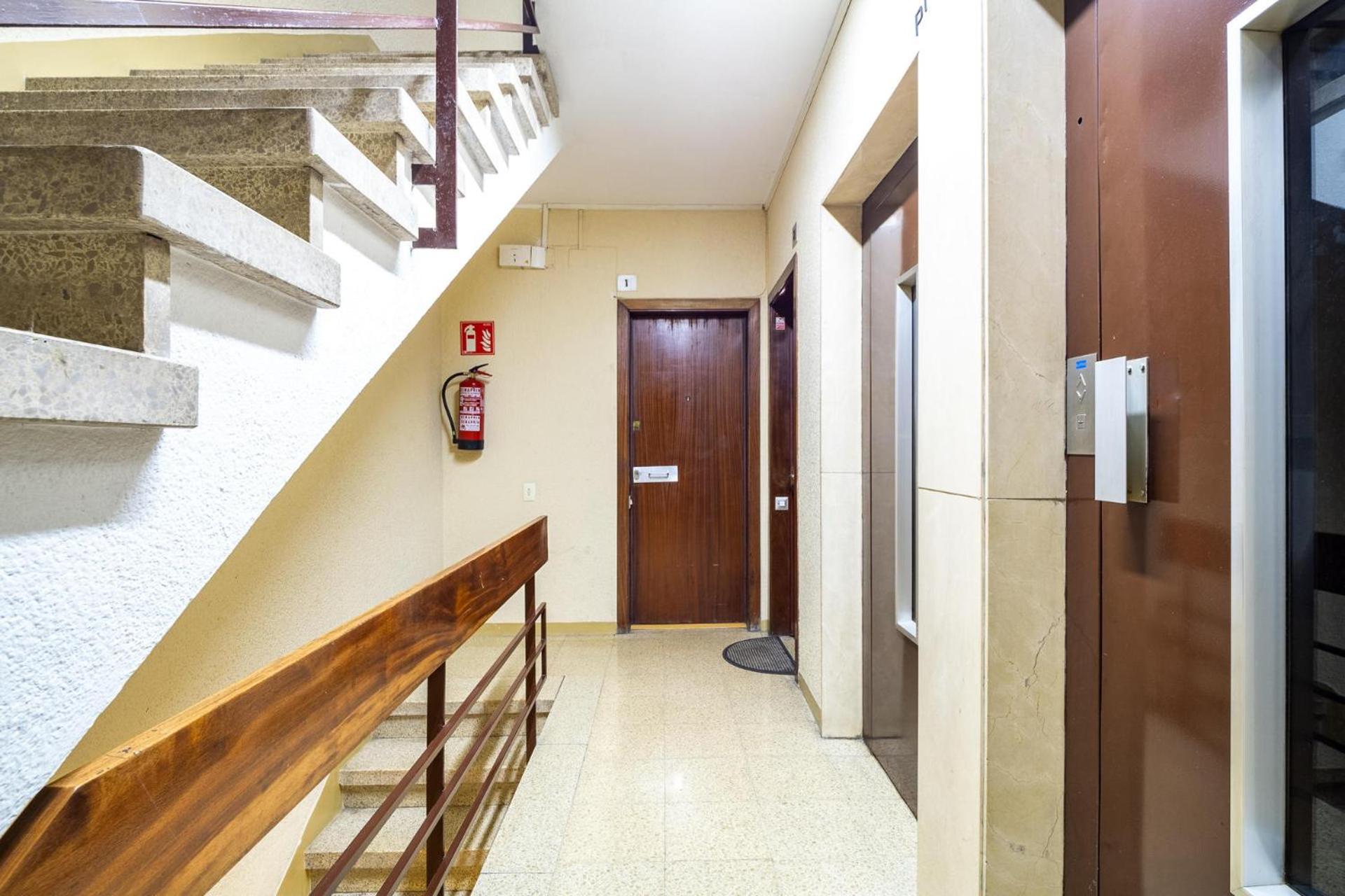 Apartment with Terrace photo 3
