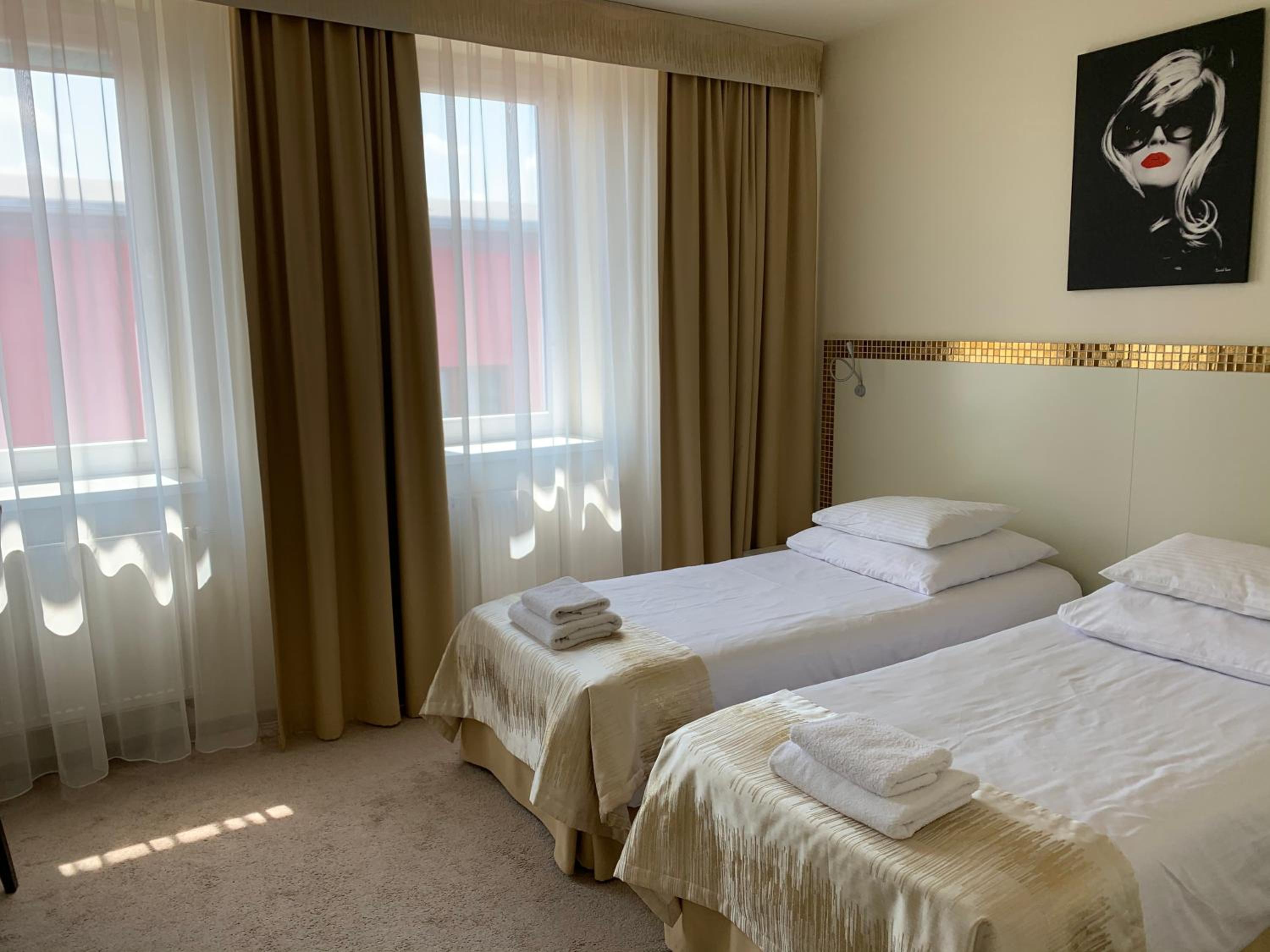 Deluxe Double or Twin Room photo 1